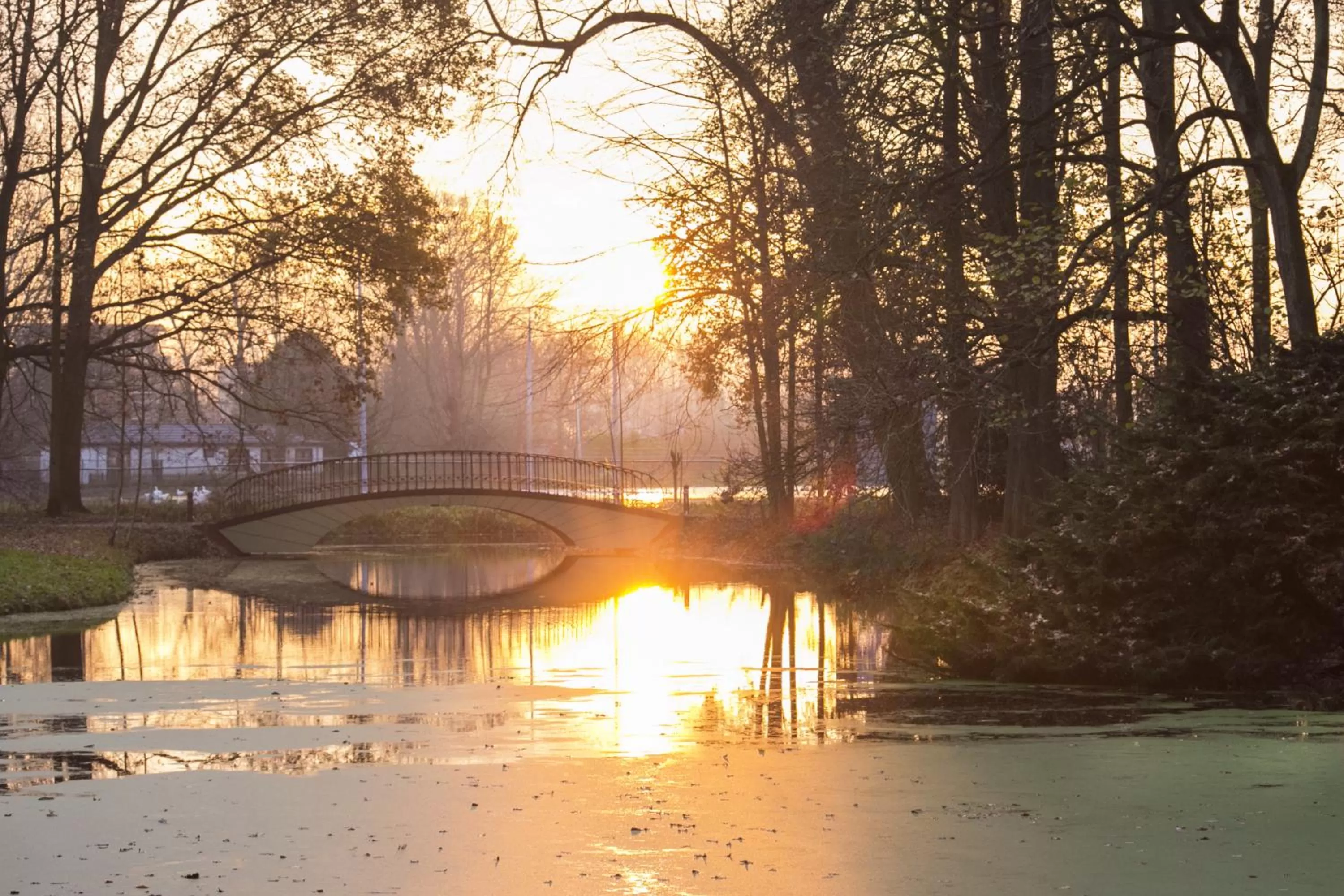 Garden view in Landgoed Oud Poelgeest - Leiden
