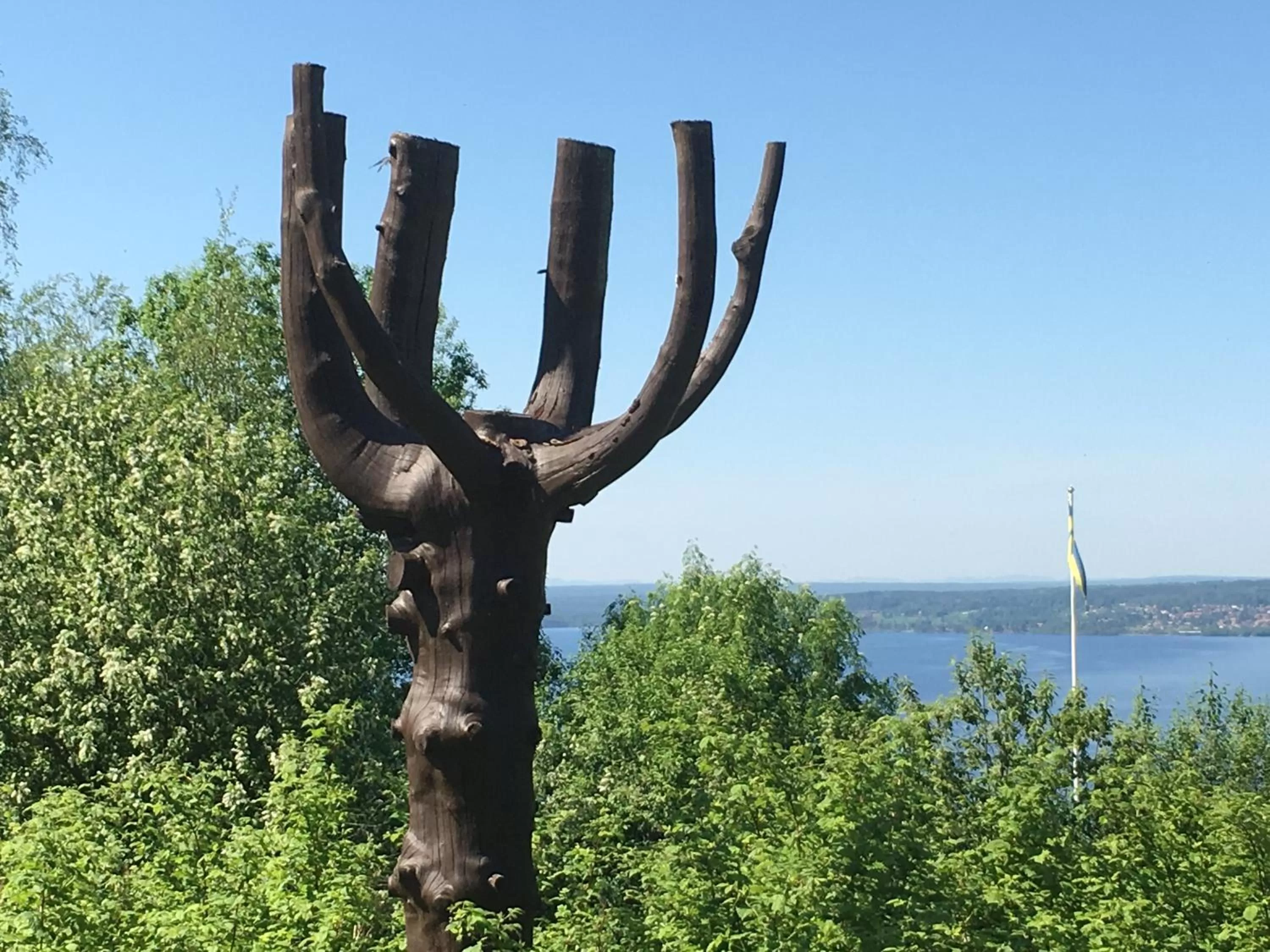 Garden in Augustas Bed & Breakfast