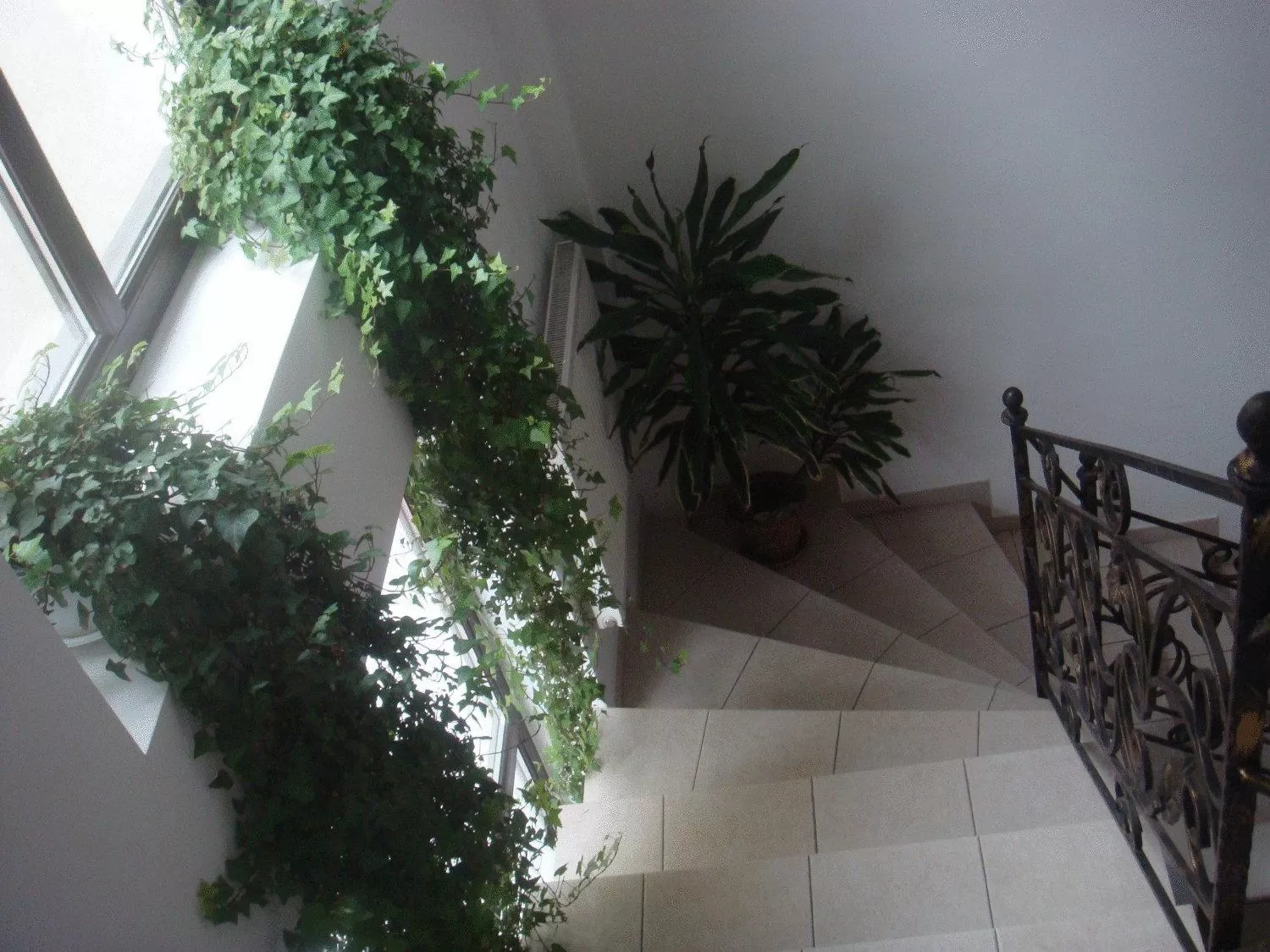 Other in Villa Edera Residence - Gazda Profesionista