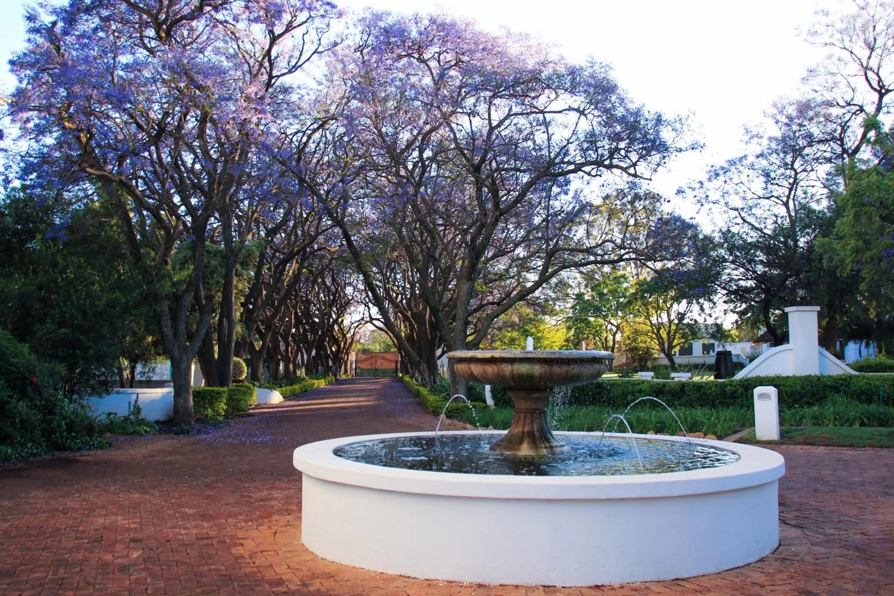 Property building in Kievits Kroon Gauteng Wine Estate