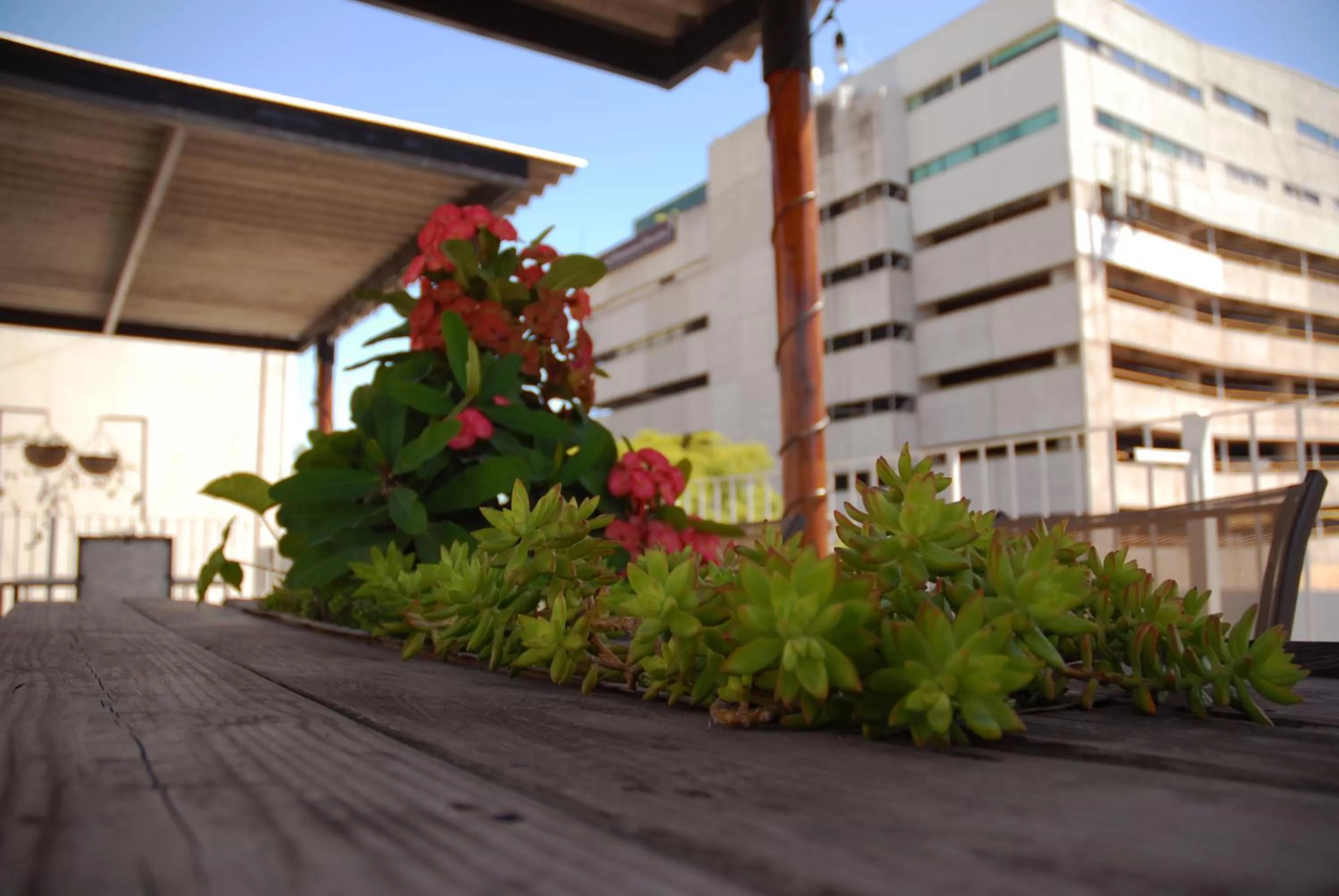 Balcony/Terrace in VL Hotel Boutique Consulado Chapu Guadalajara