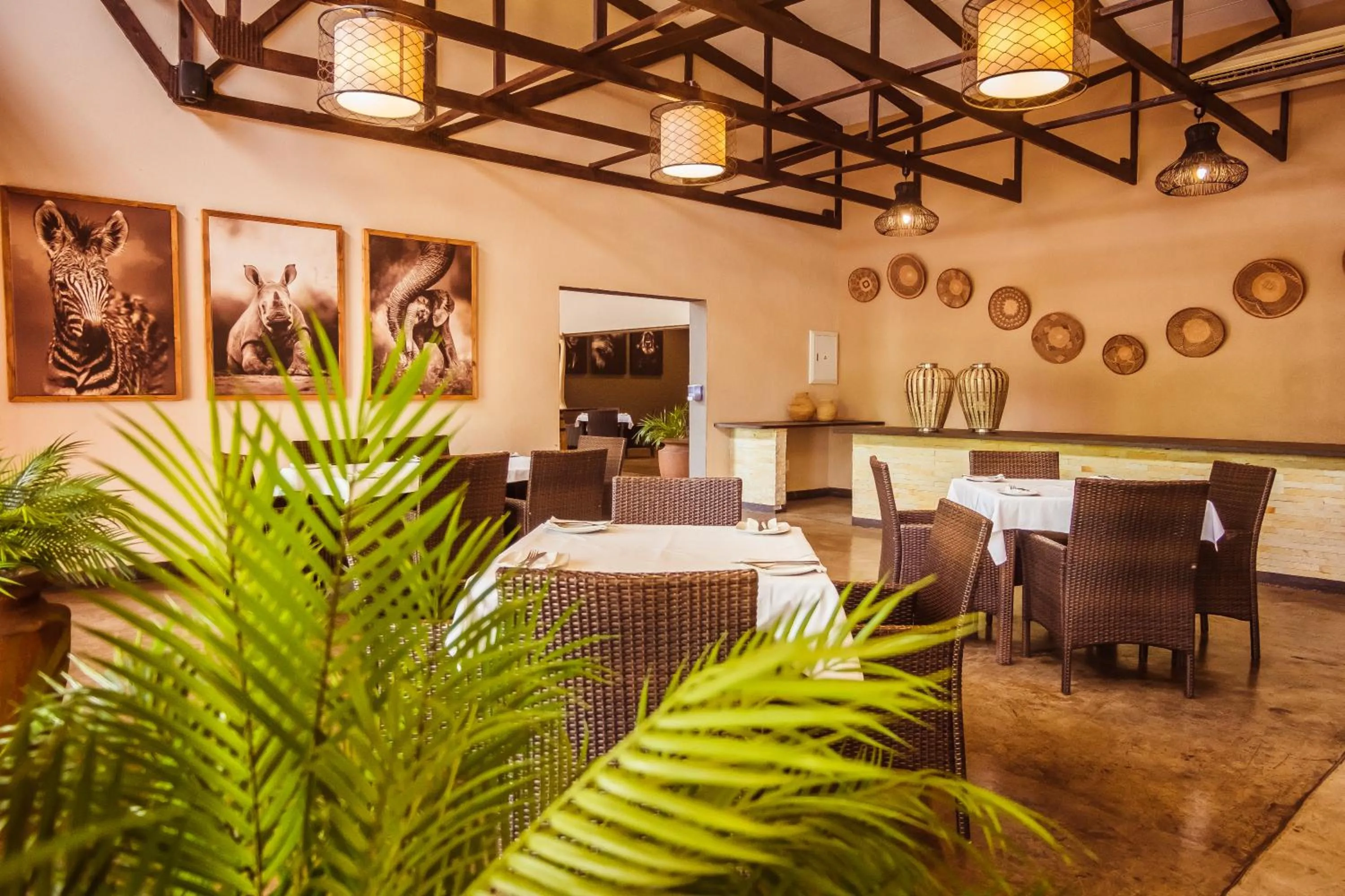Restaurant/places to eat in Bushveld Terrace Safari Hotel, Lodge & Spa
