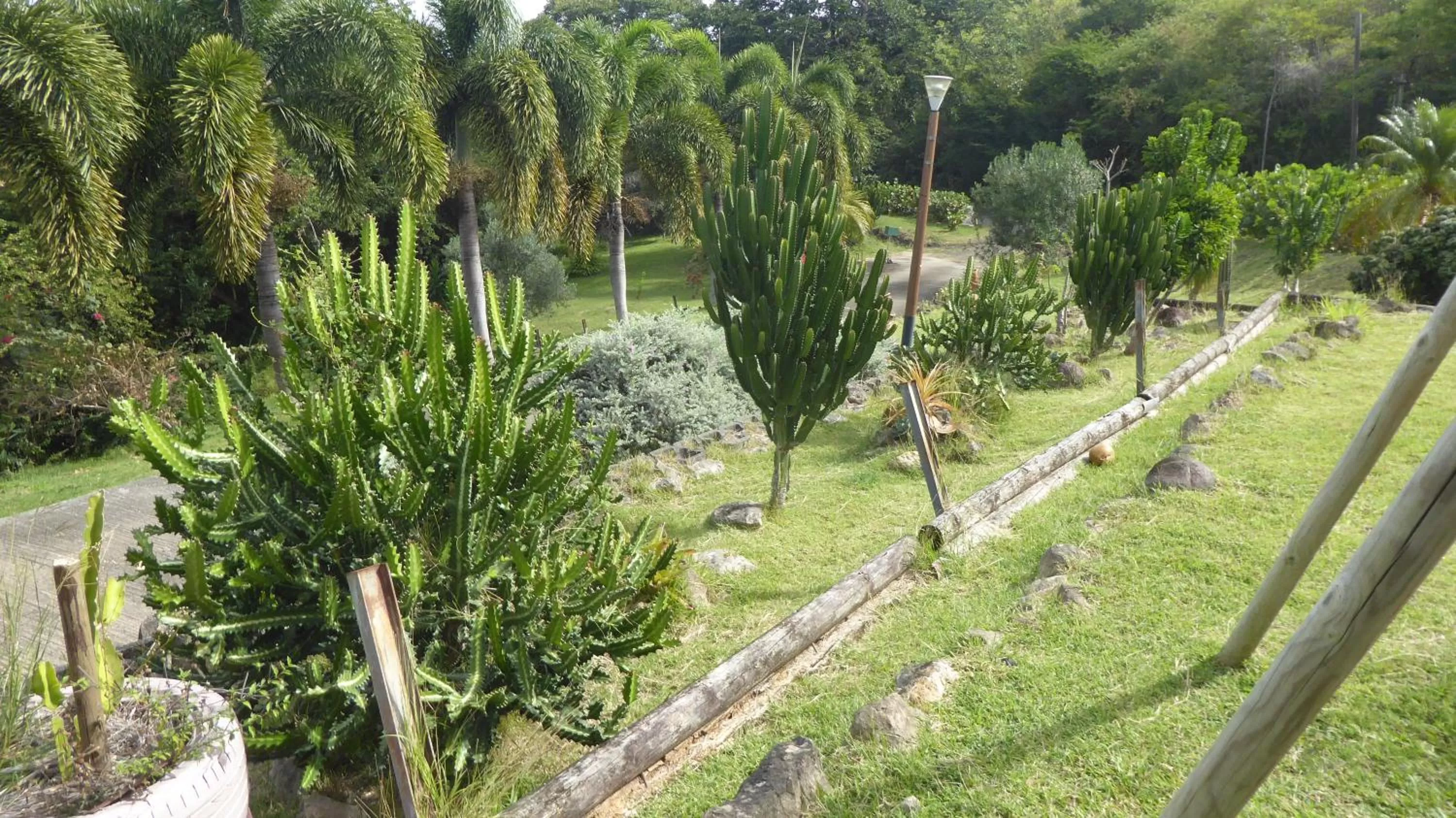 View (from property/room) in Bed and breakfast Riviere