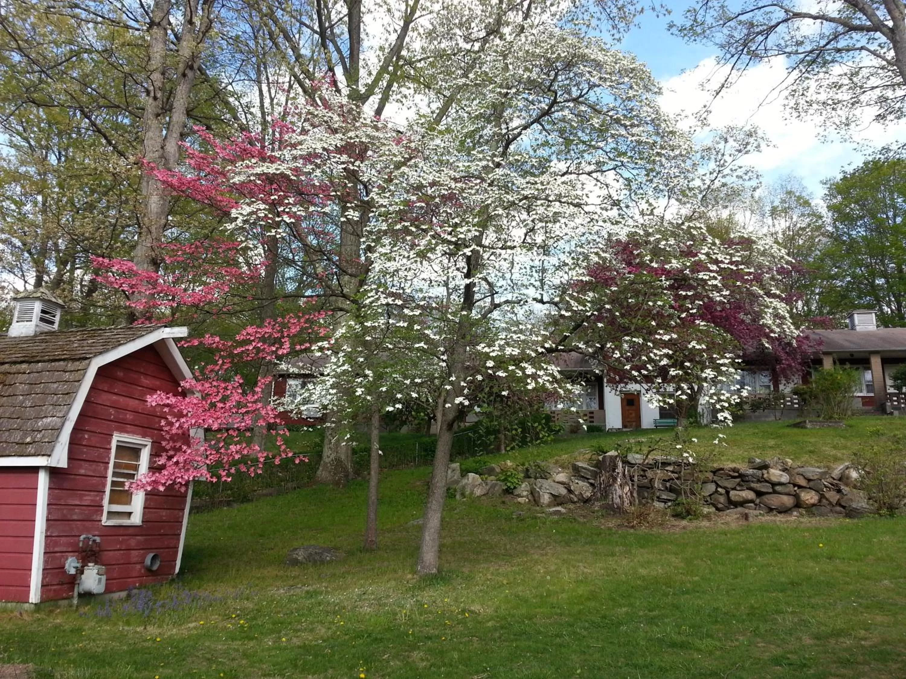 Day, Garden in Heidi's Inn