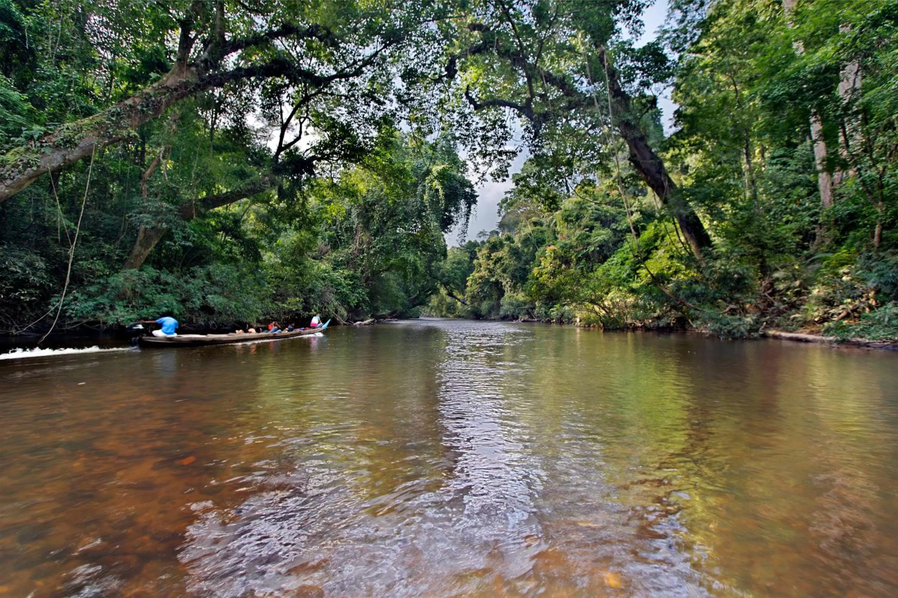 Area and facilities in Mutiara Taman Negara