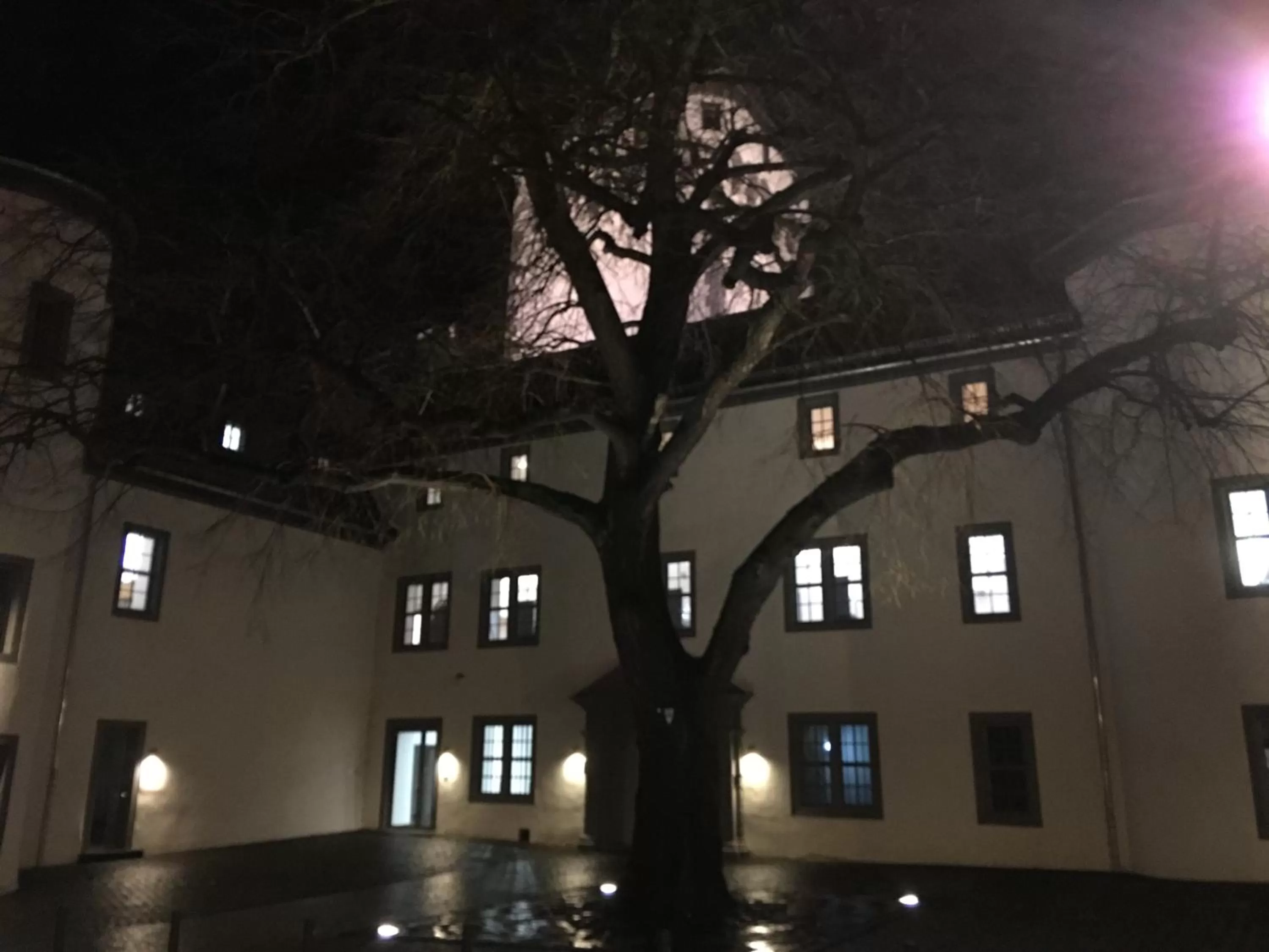 Night in Haus Adams - das Wohlfühl Gästehaus