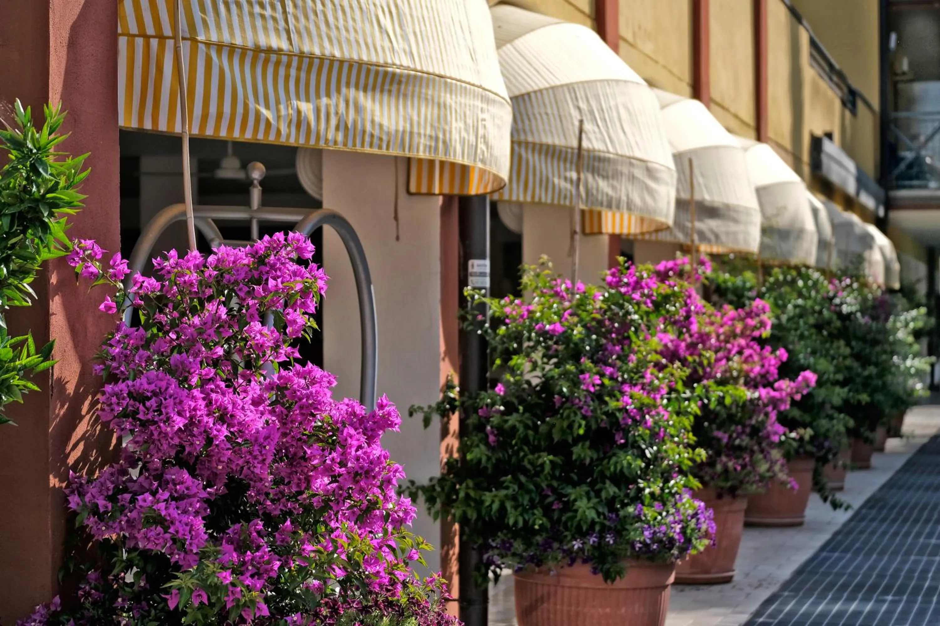 Patio in Parc Hotel Gritti