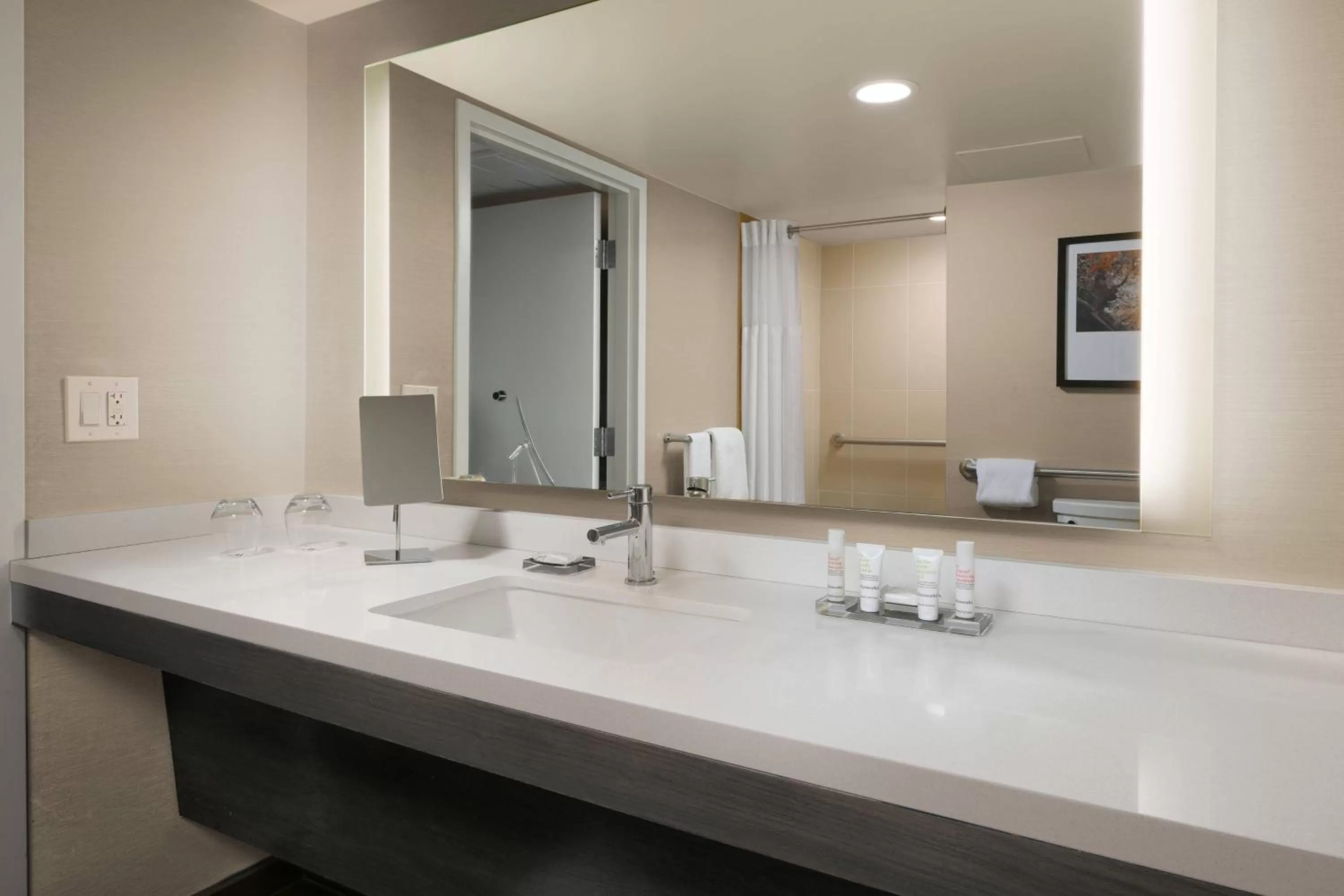 Bathroom in Houston Marriott Medical Center/Museum District