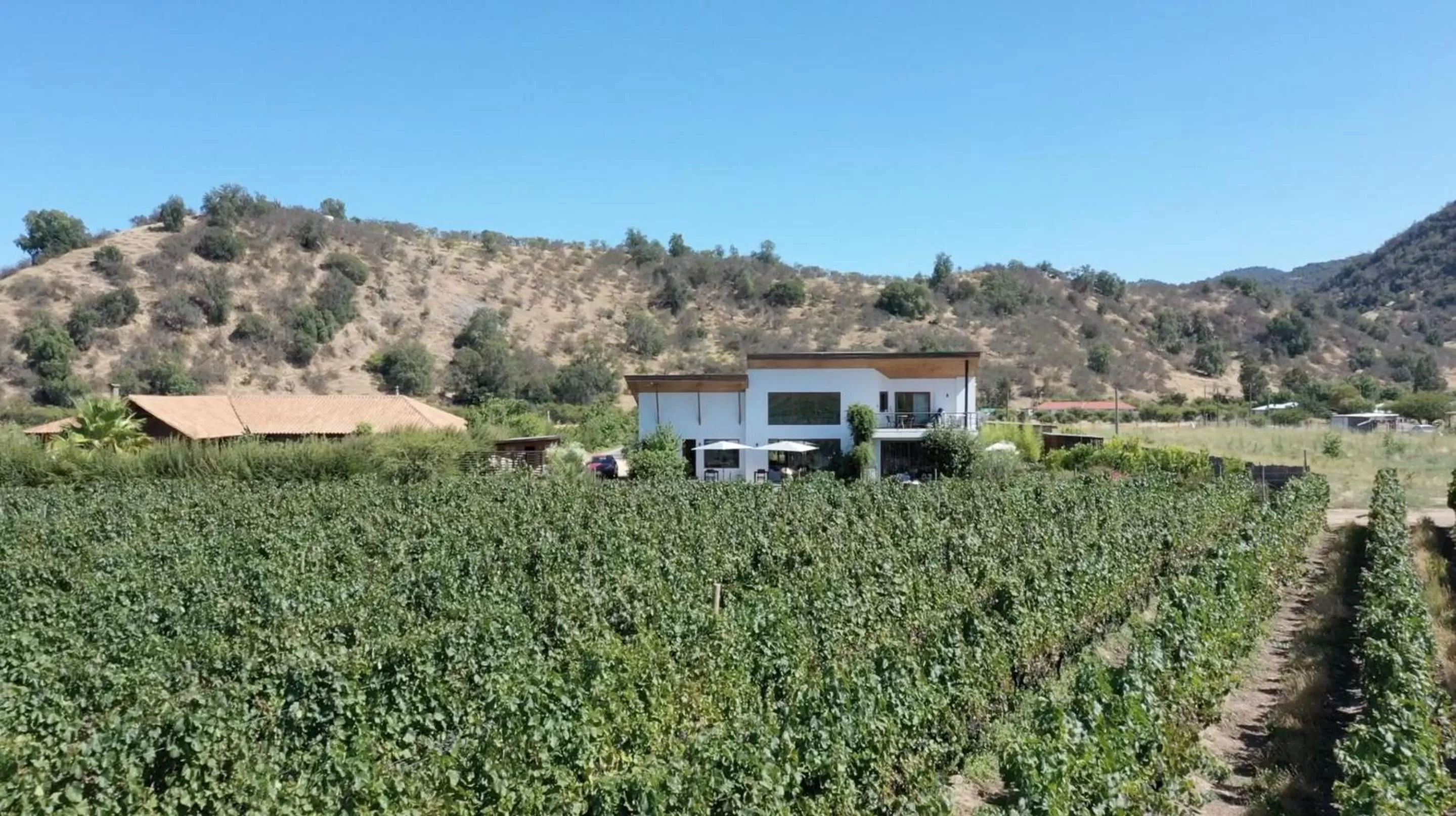 Property building in Callihue Lodge