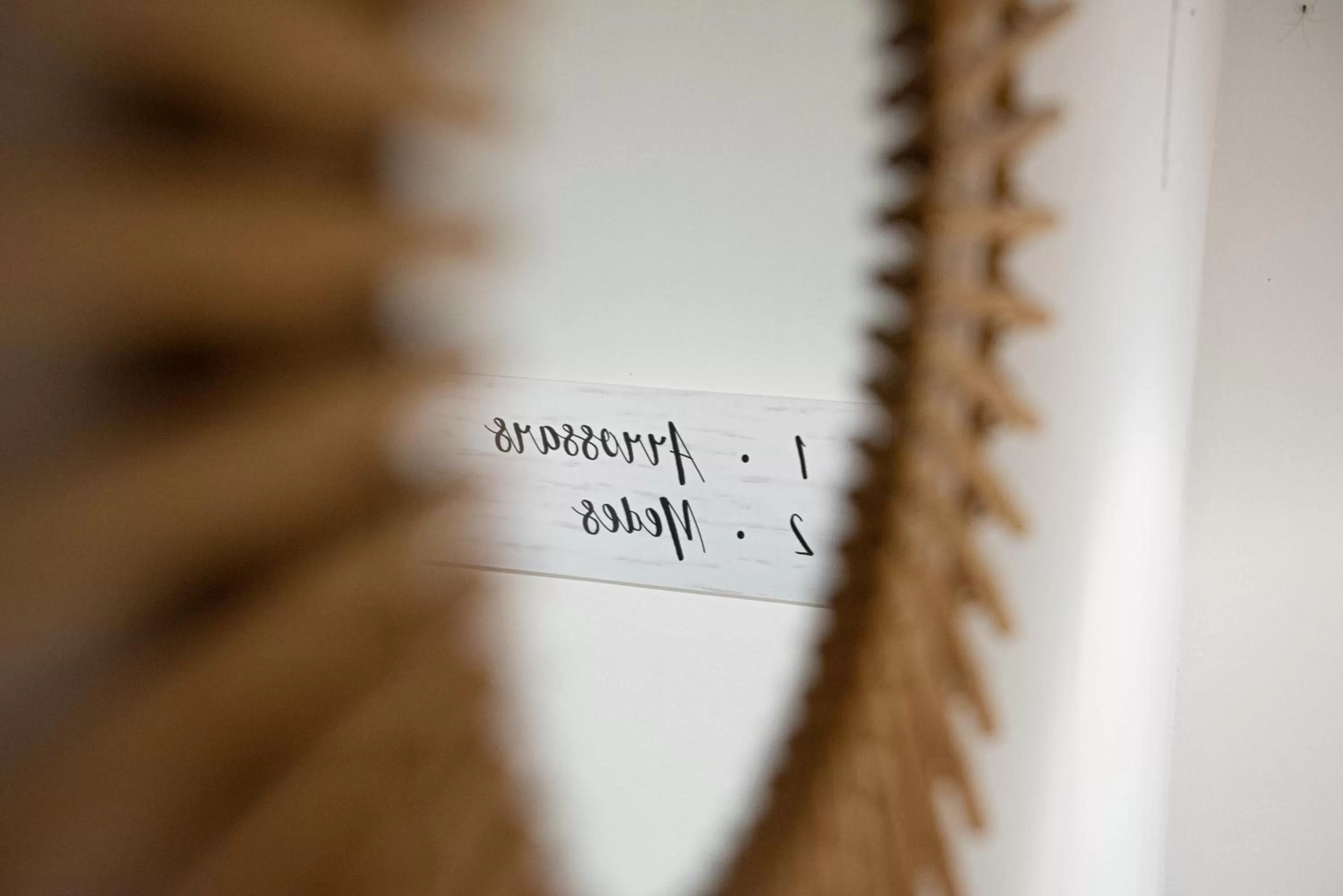 Logo/Certificate/Sign in El Petit Convent