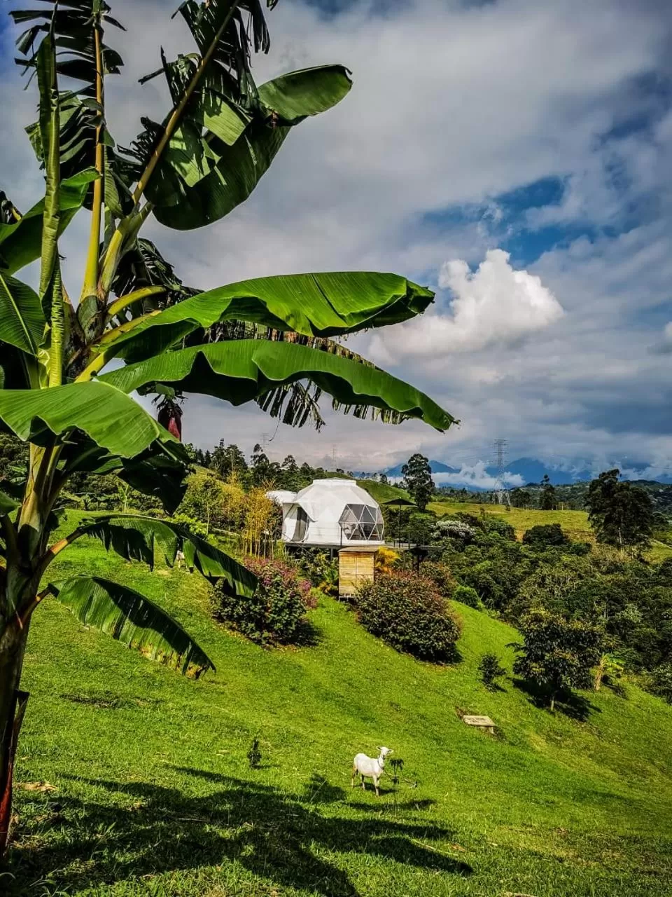 Garden view in Ecohotel Monte Tierra Habitaciones y Glamping
