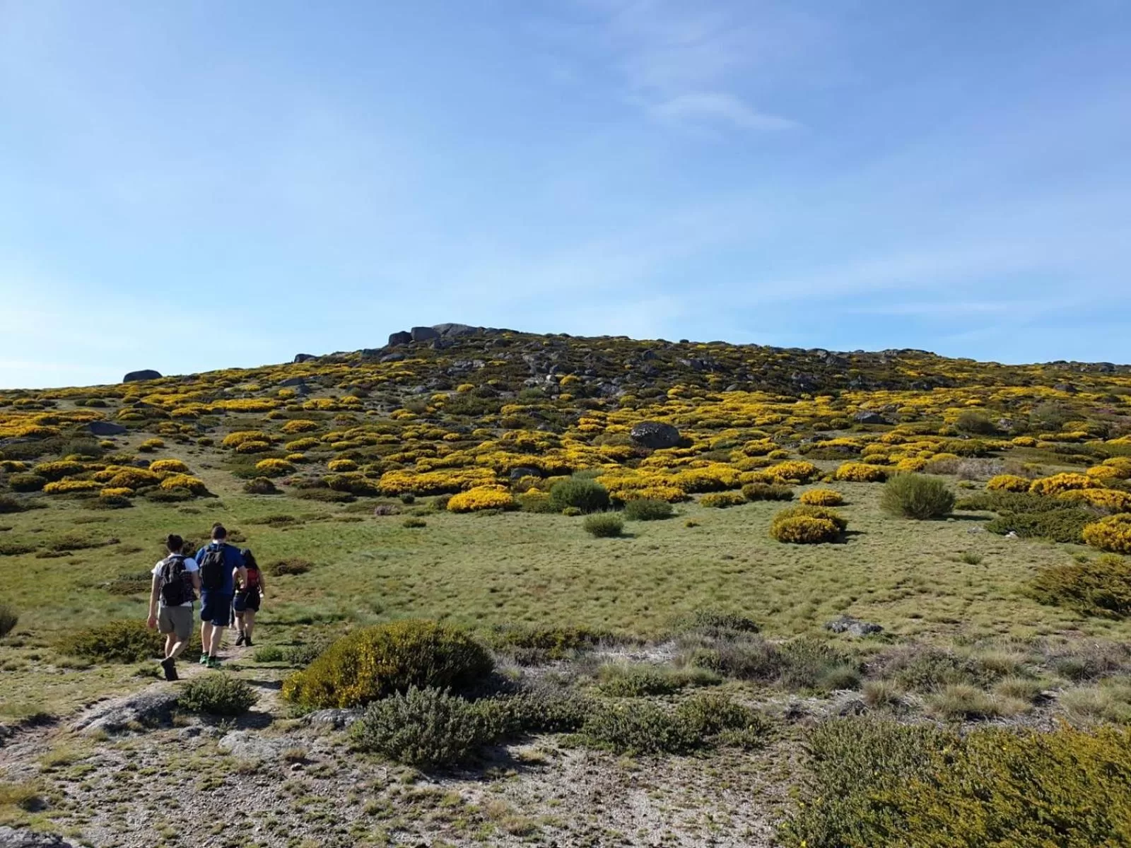 Natural landscape in Casa de São Lourenço - Burel Panorama Hotel - member of Relais & Châteaux