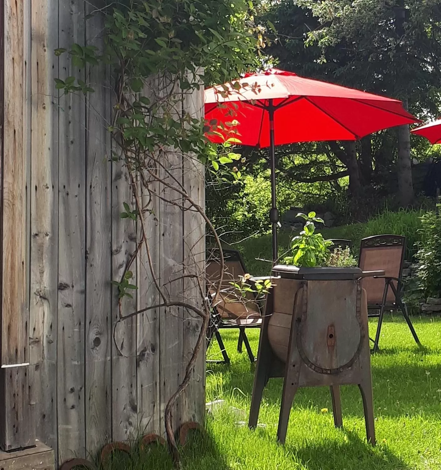 Garden in Auberge le Petit Séjour