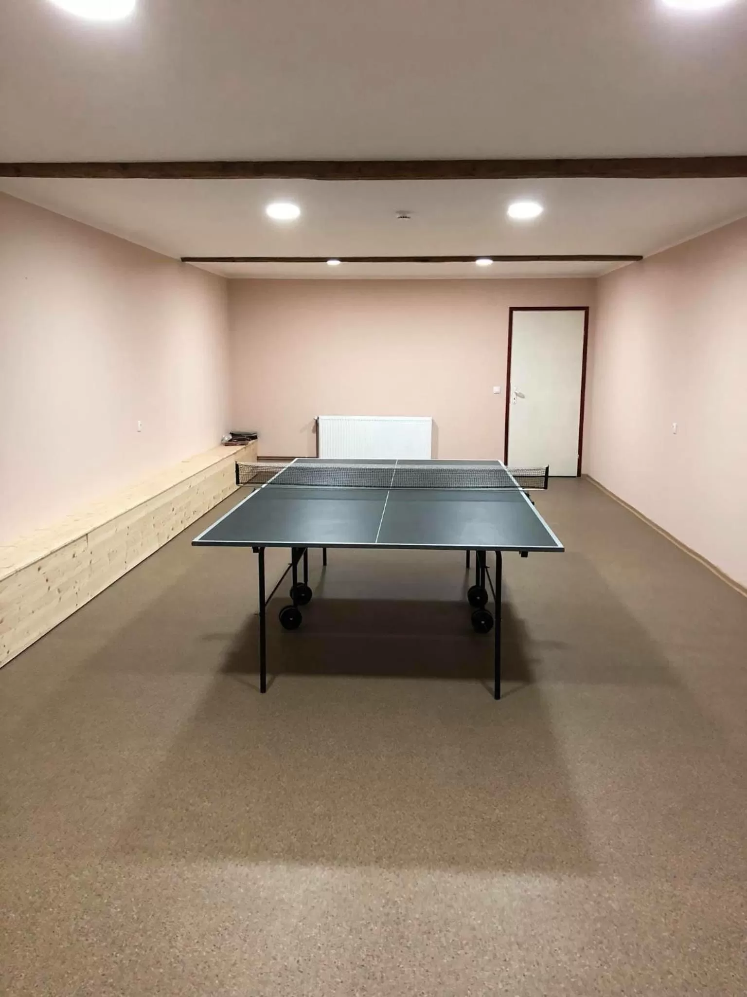 Table tennis in Garden House