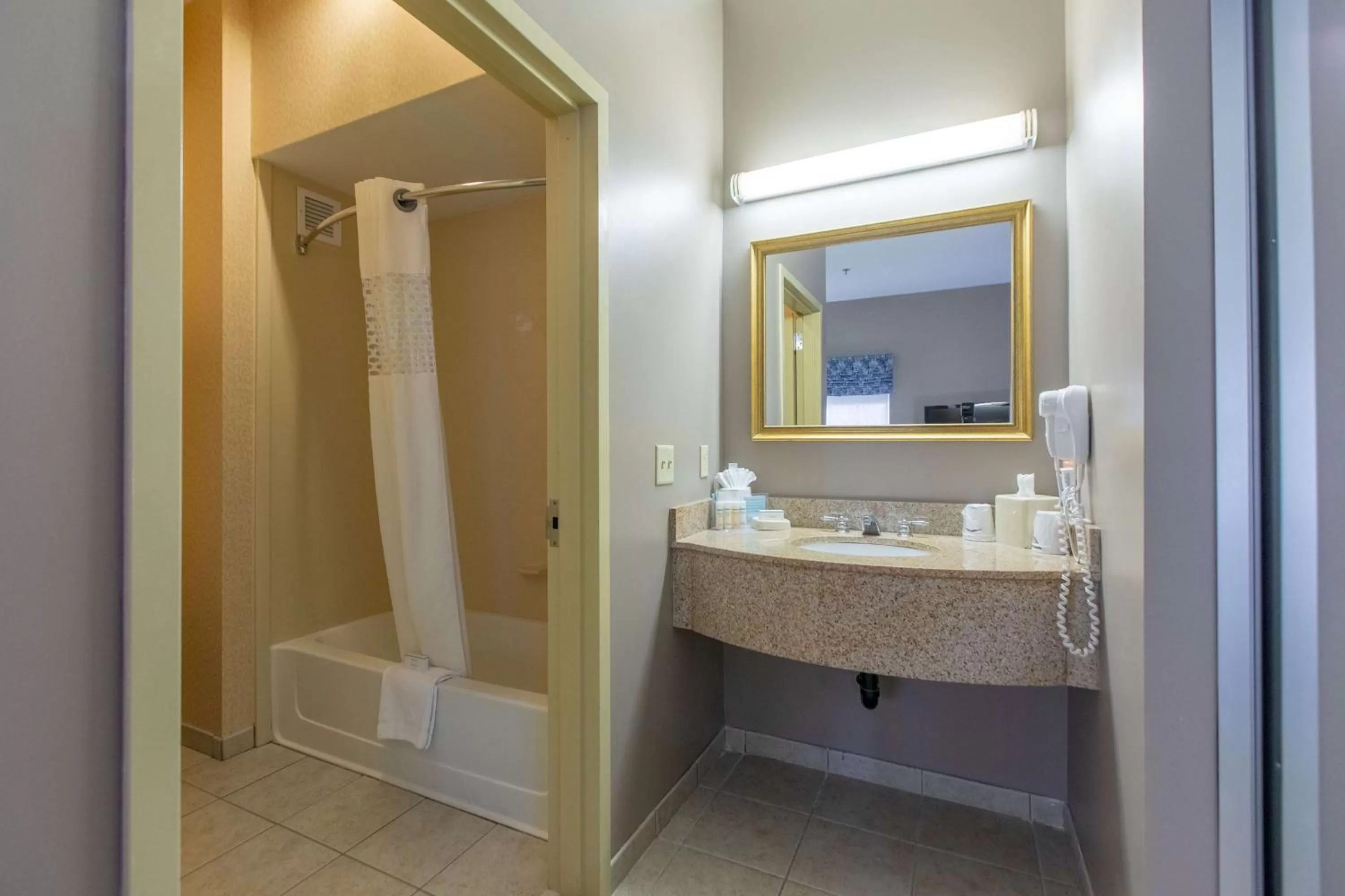 Bathroom in Hampton Inn Hadley-Amherst Area