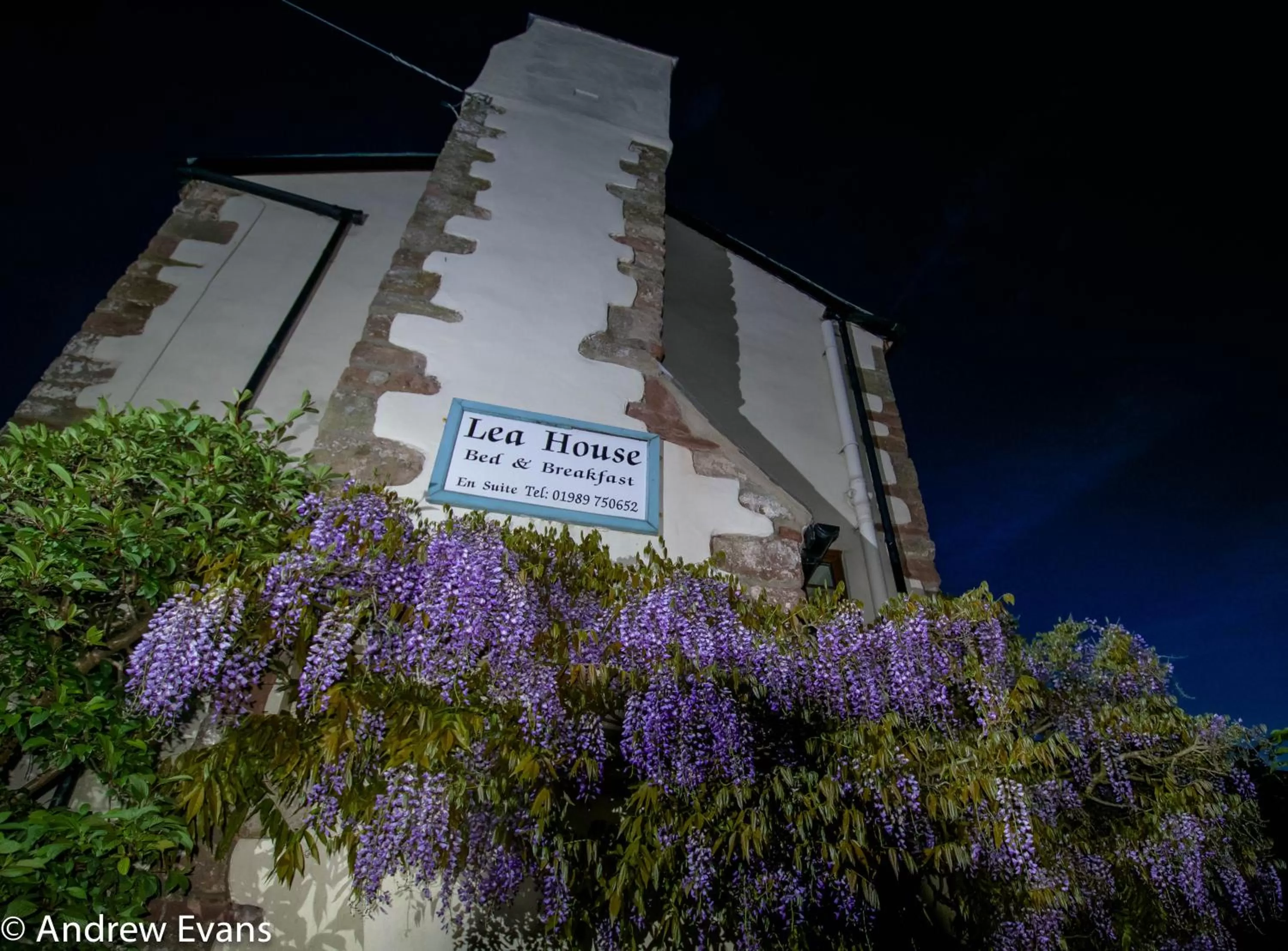 Facade/entrance in Lea House Bed and Breakfast