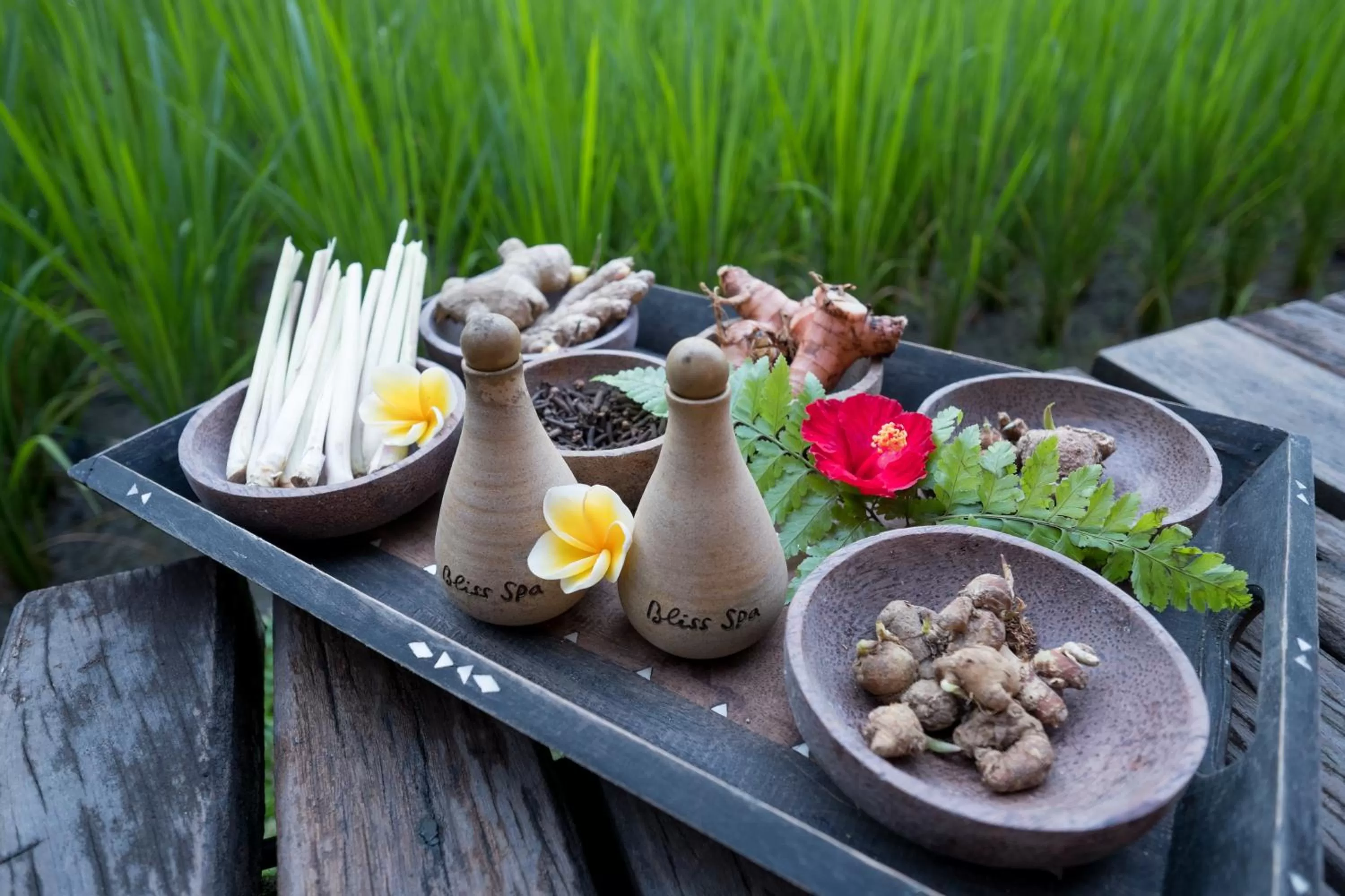 Spa and wellness centre/facilities in Bliss Ubud Spa Resort