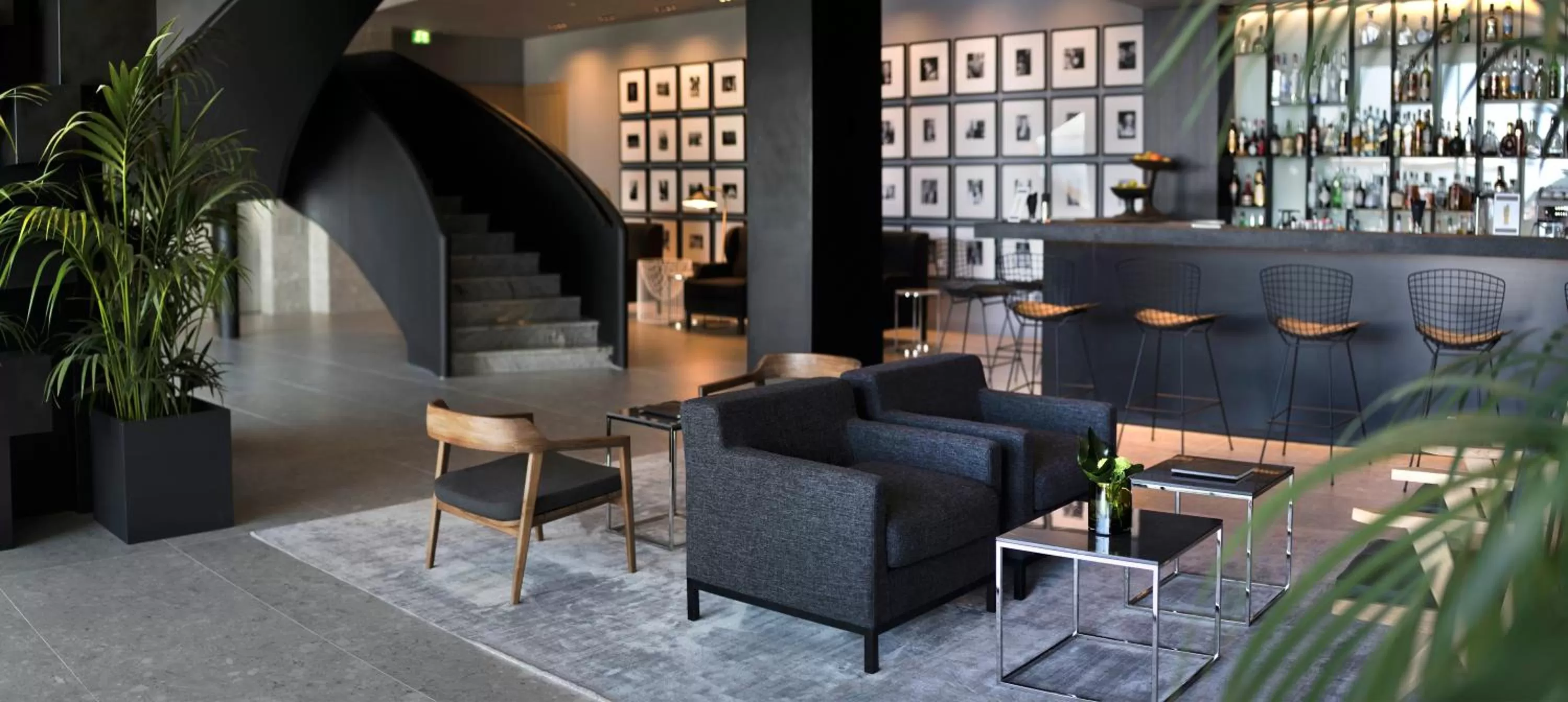 Lounge or bar in Hotel Excelsior