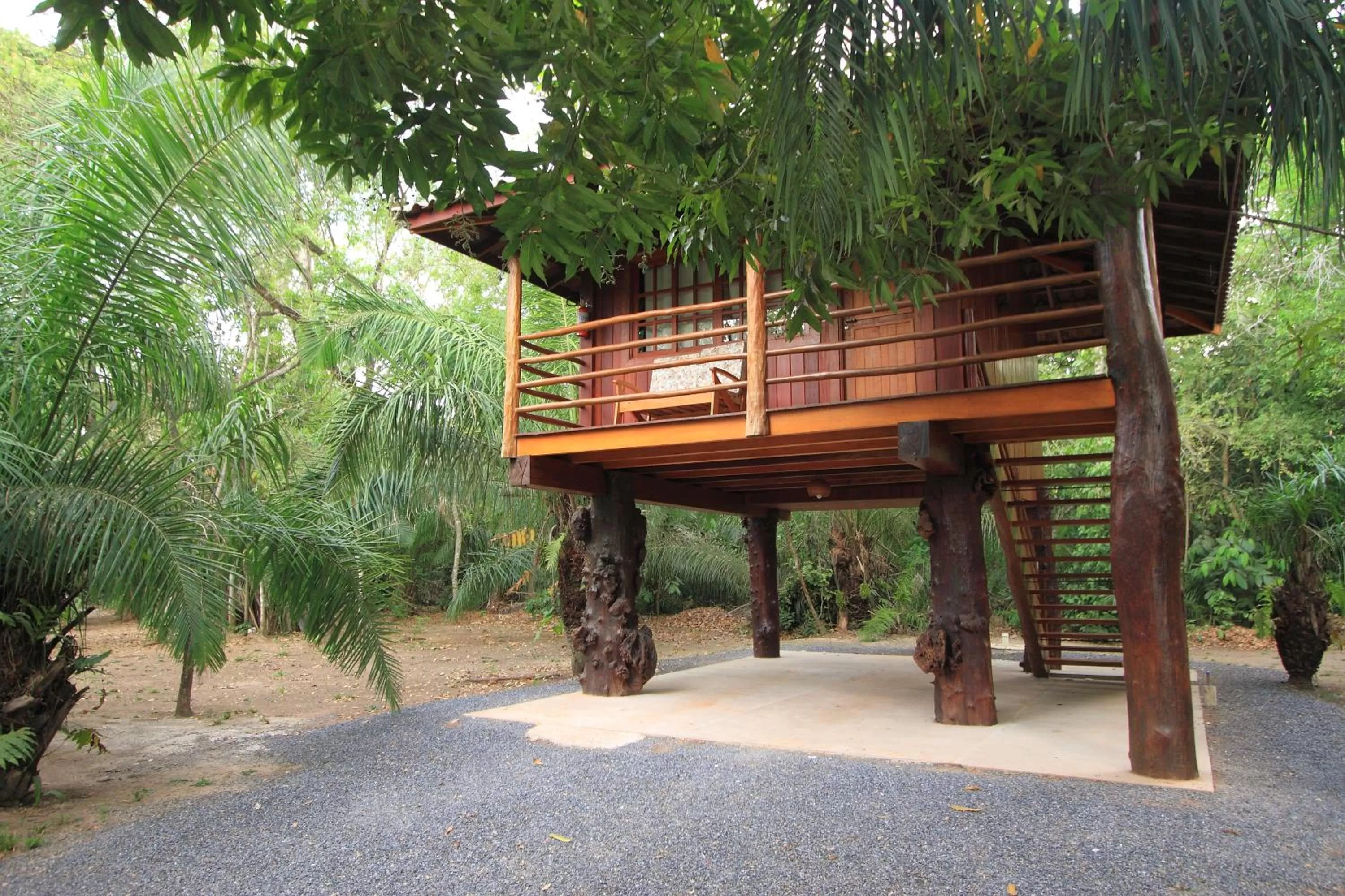 Photo of the whole room in Hotel Cabanas