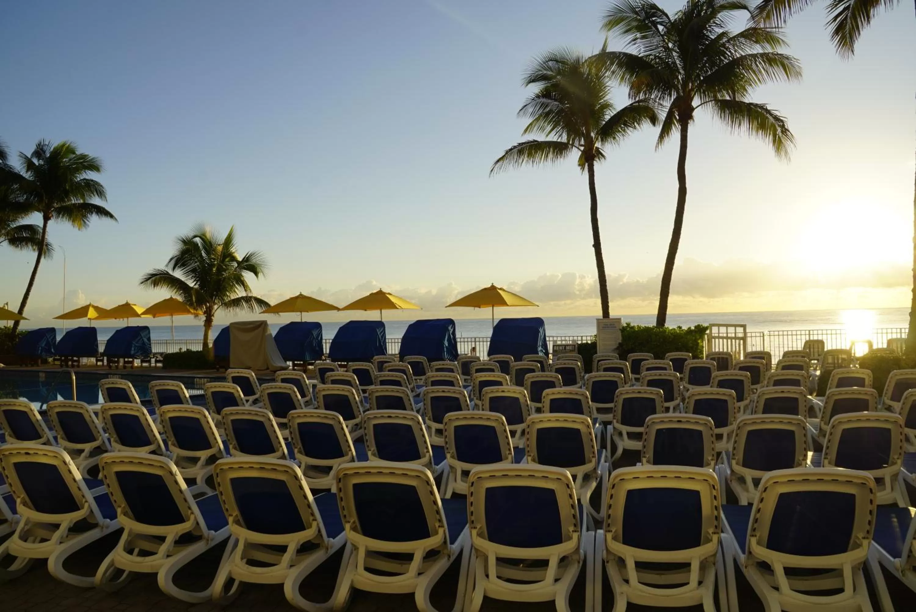 Area and facilities in Ocean Sky Hotel & Resort