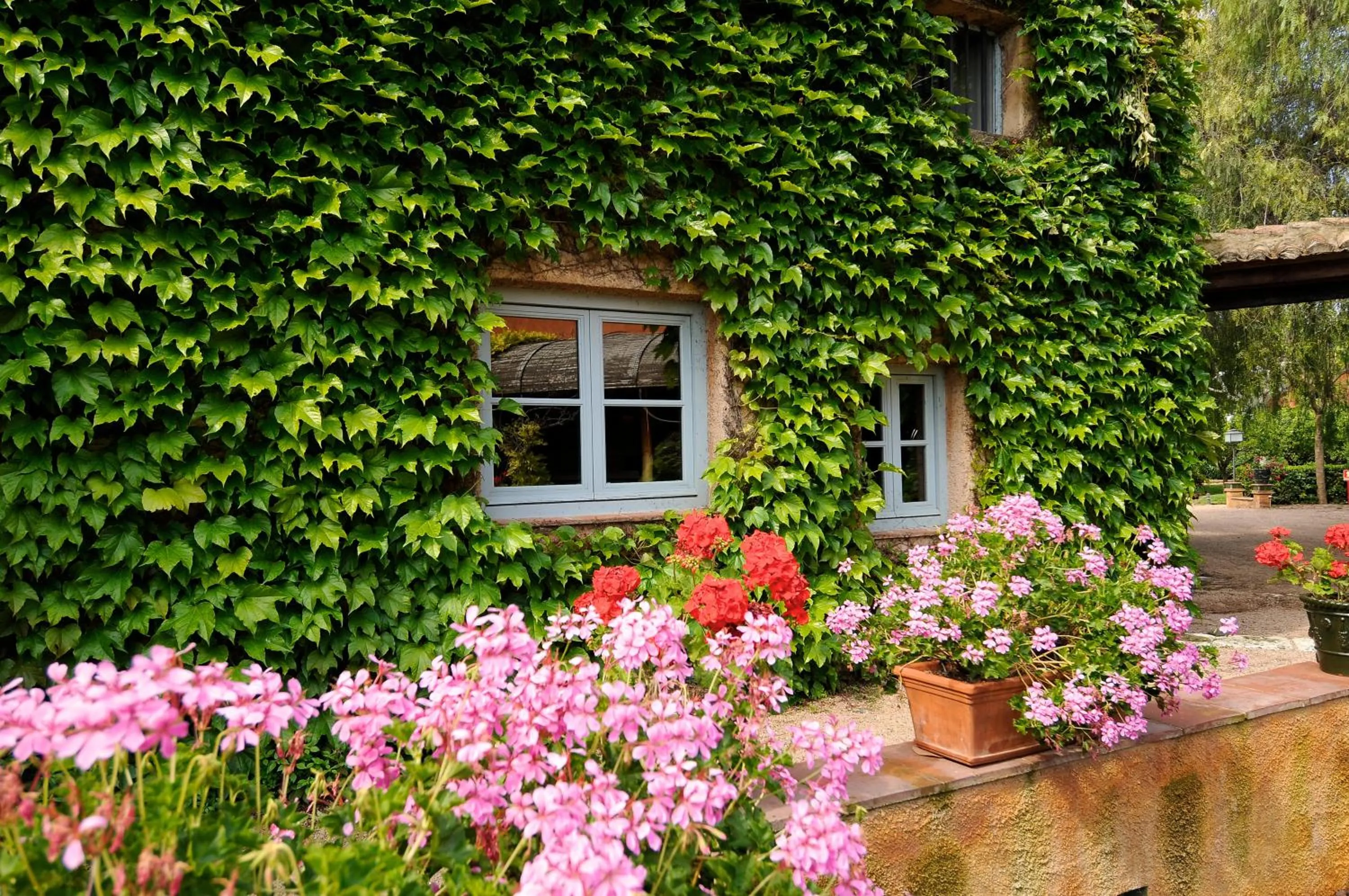 Decorative detail in Hotel Mas La Boella