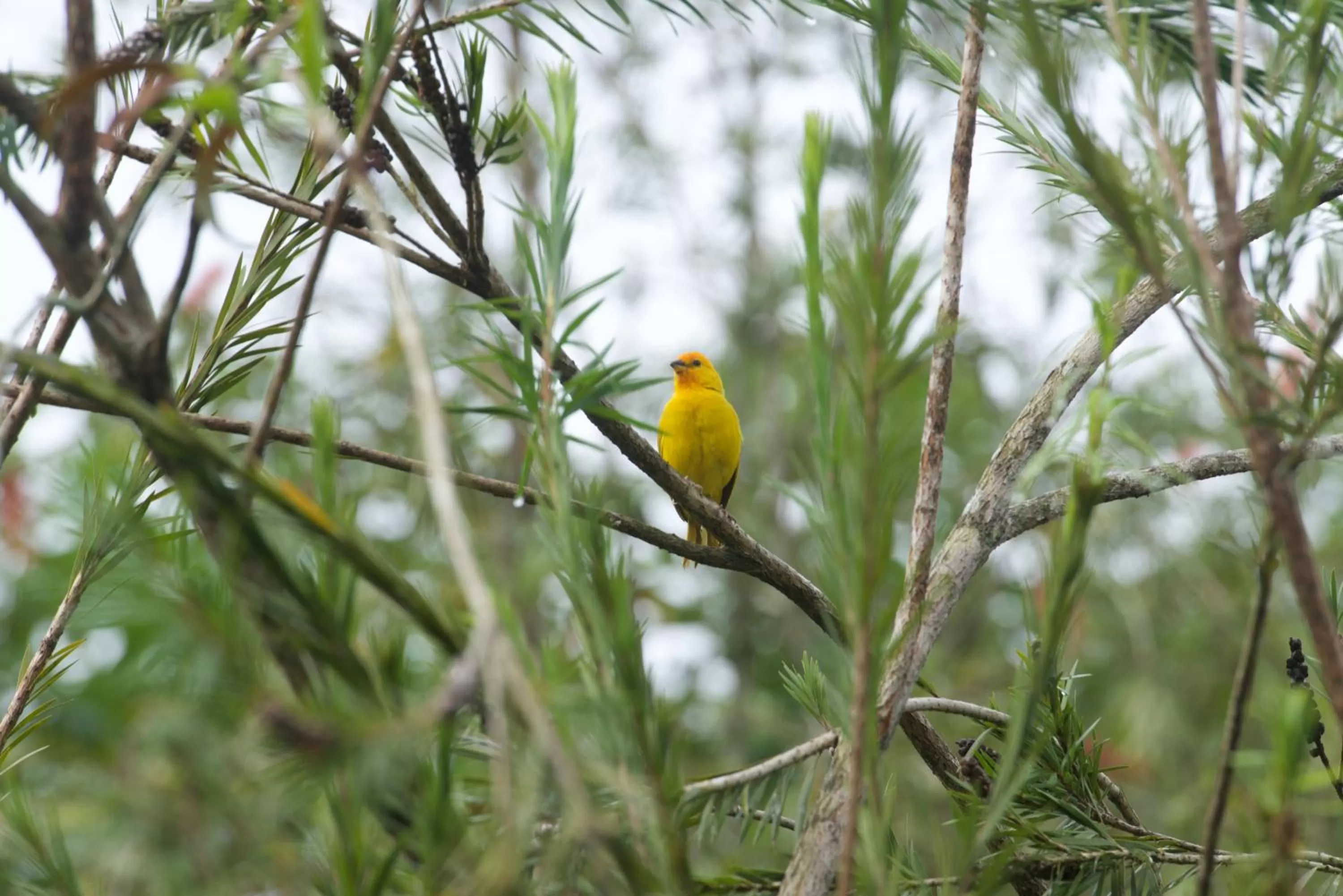 Off site in La Herencia Hotel