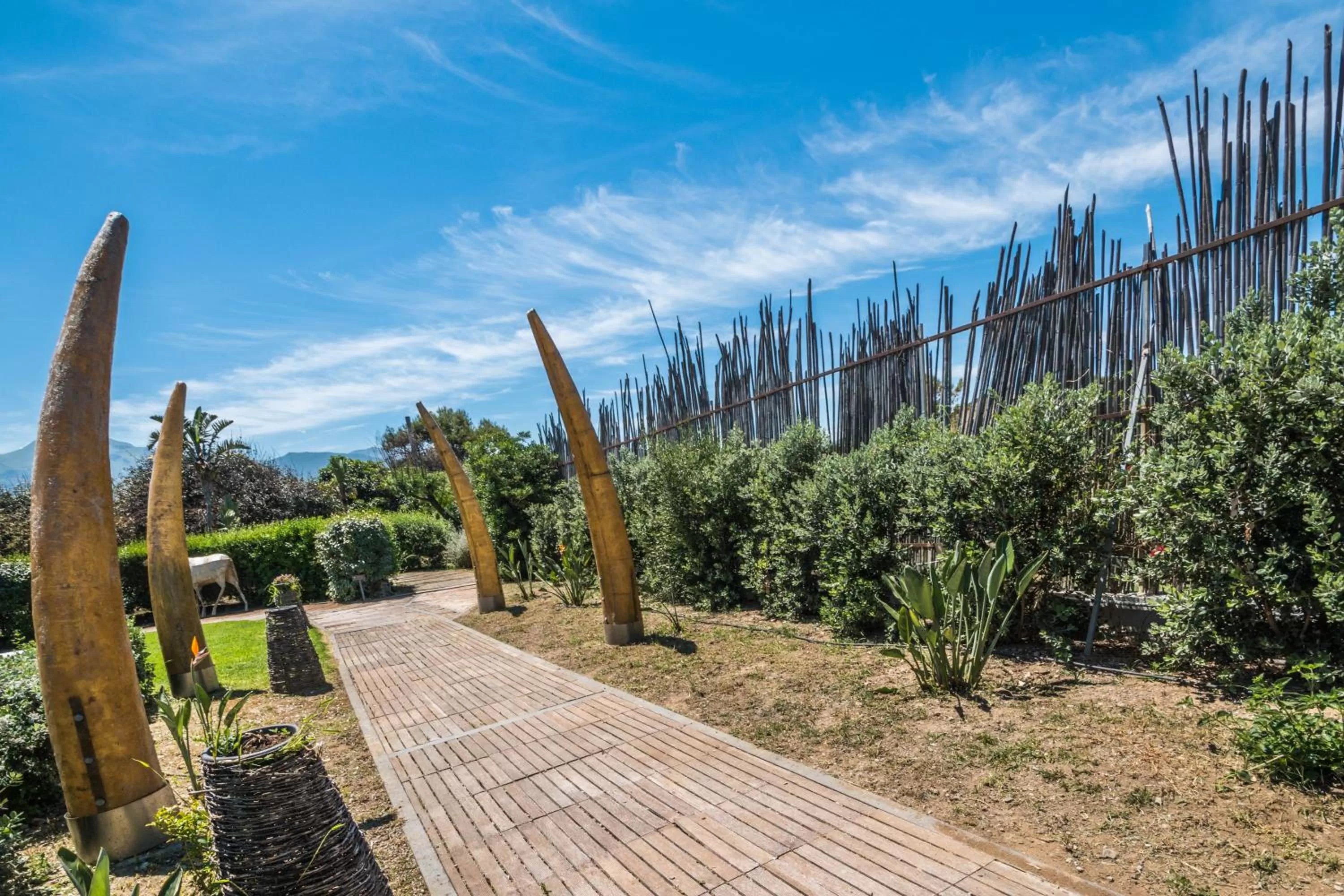 Natural landscape in B&B Le Dune - Self Check in