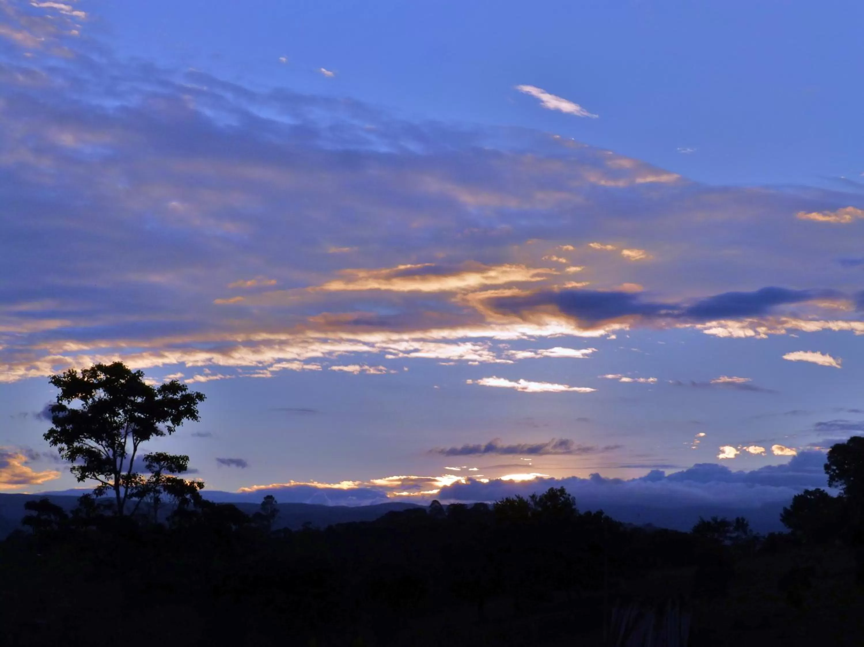 View (from property/room) in Finca El Cielo