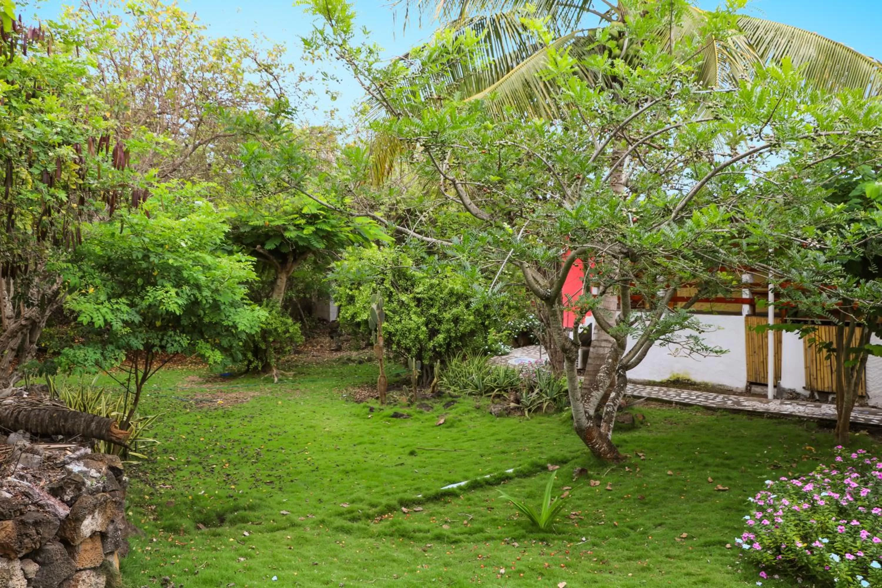 Garden in La Peregrina Galapagos B&B