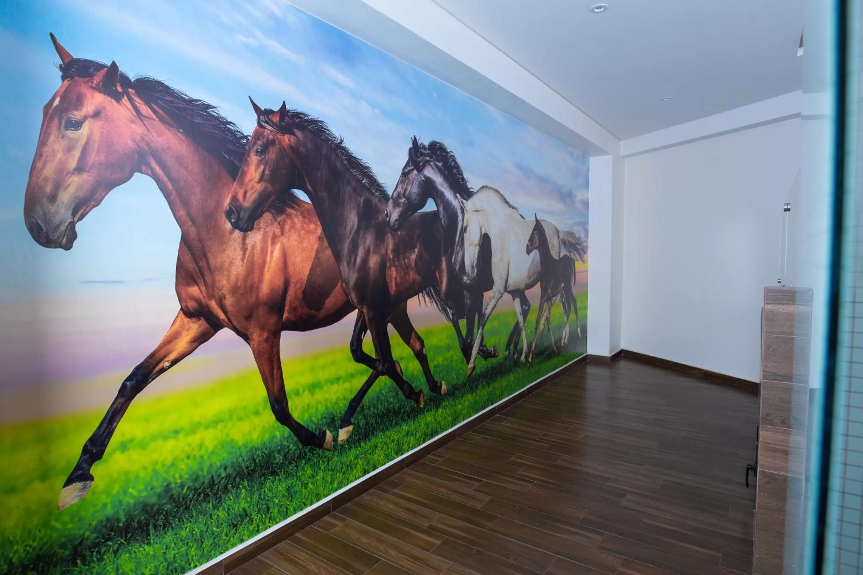 Photo of the whole room in Hotel Xcoco Inn