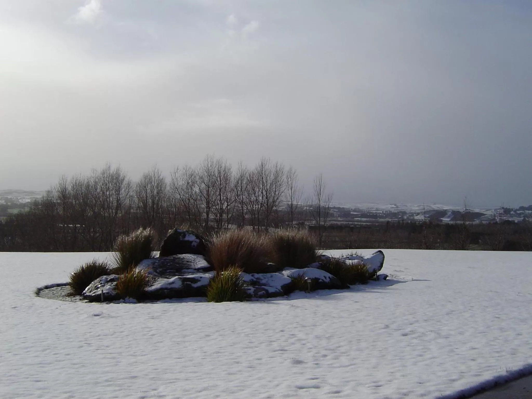 Garden view in Hokonui Bed & Breakfast