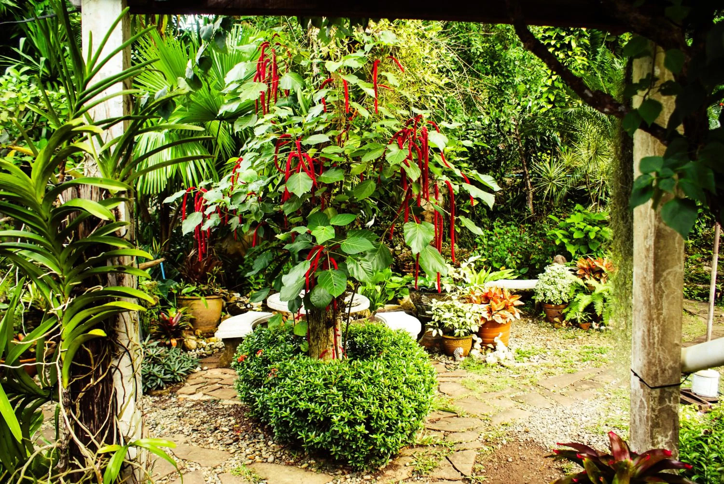 Garden view in Rock Inn Bailan