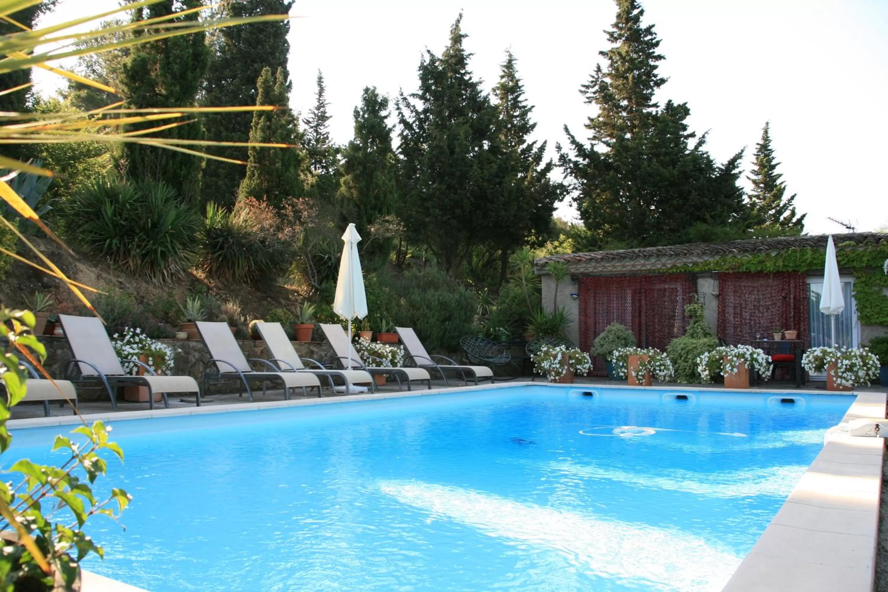 Swimming Pool in La Maison sur la Colline