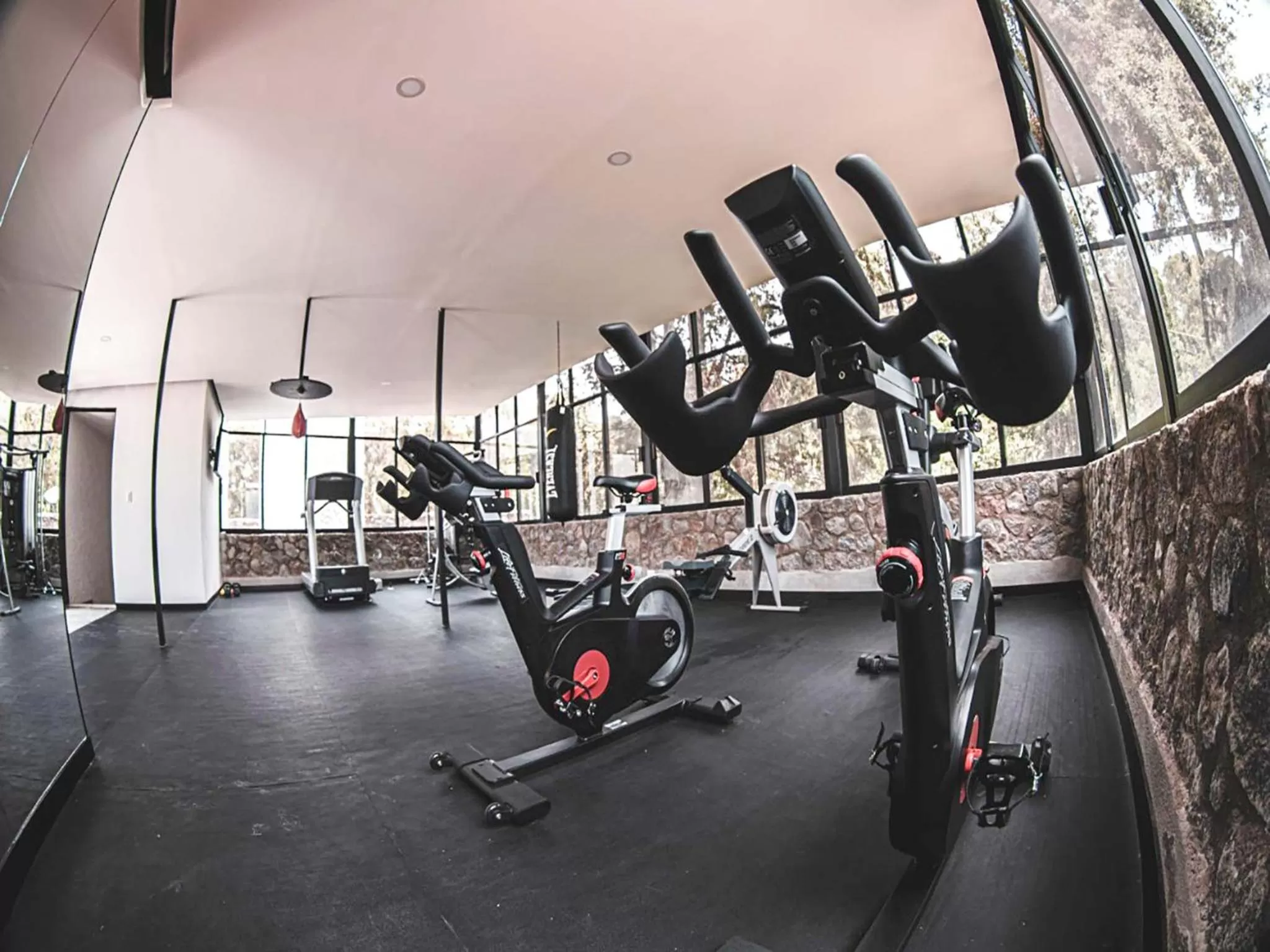 Fitness centre/facilities in Hotel Boutique Camino Del Bosque