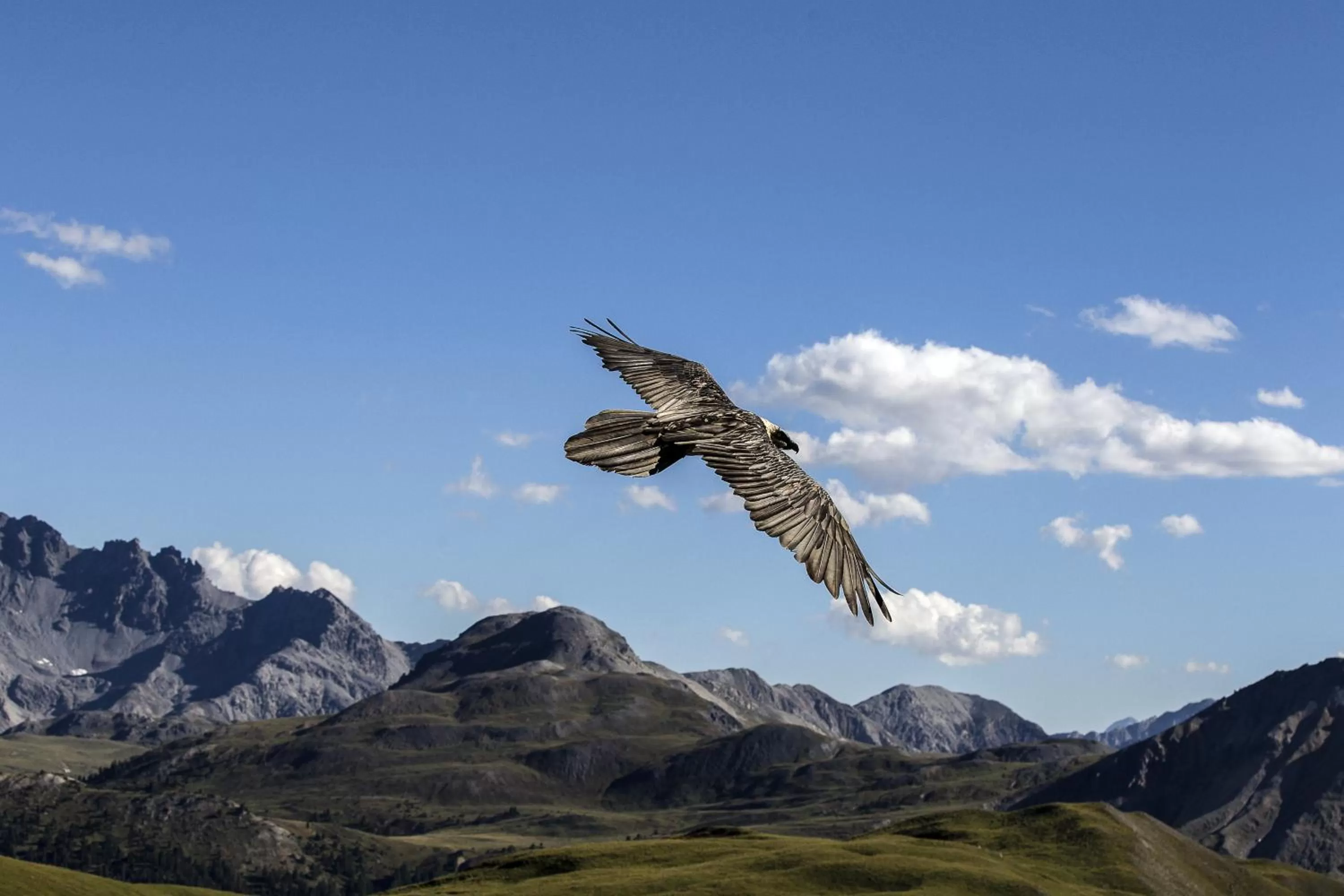 Day in Hotel Spöl Restaurant