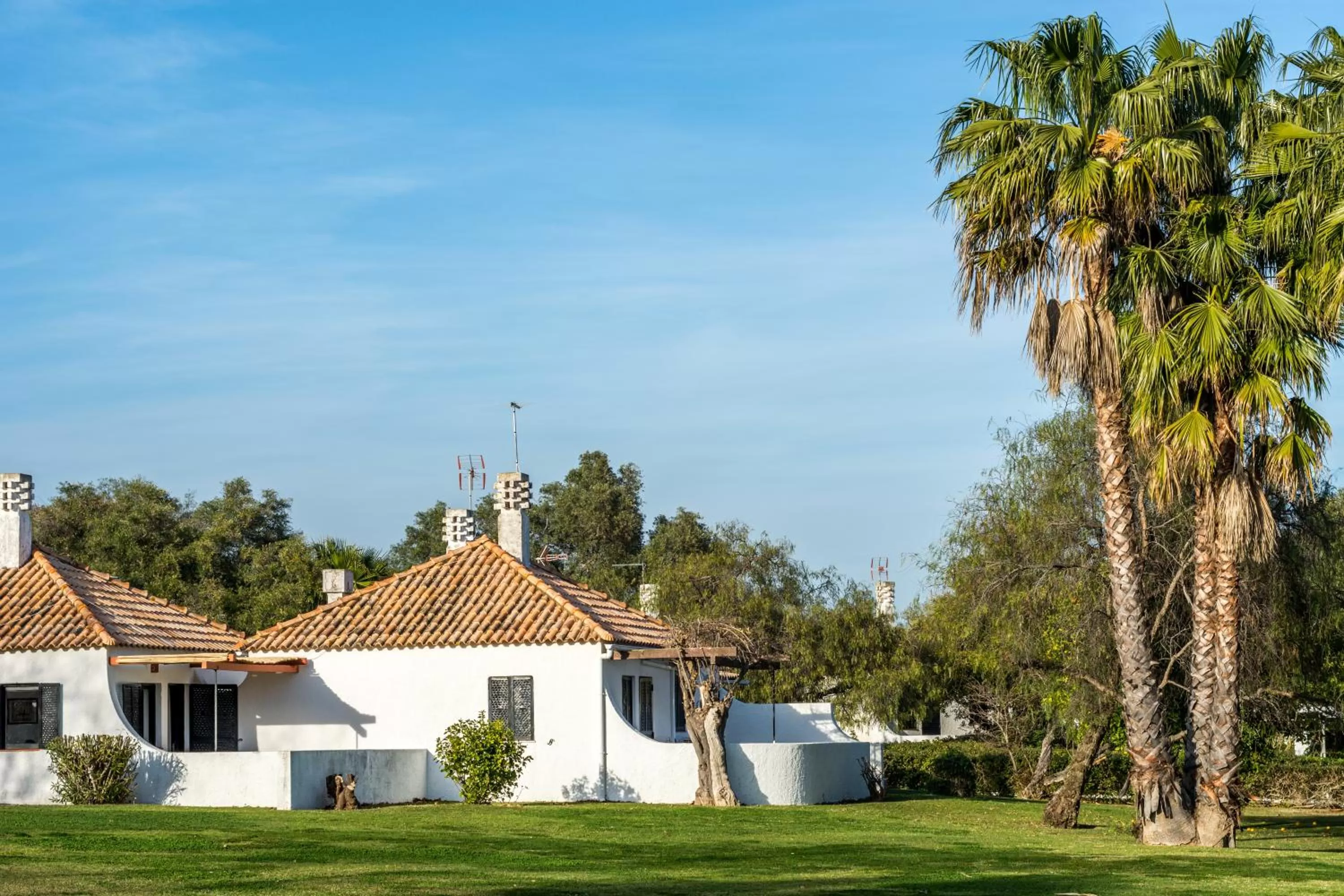 Property building in Pedras D'el Rei