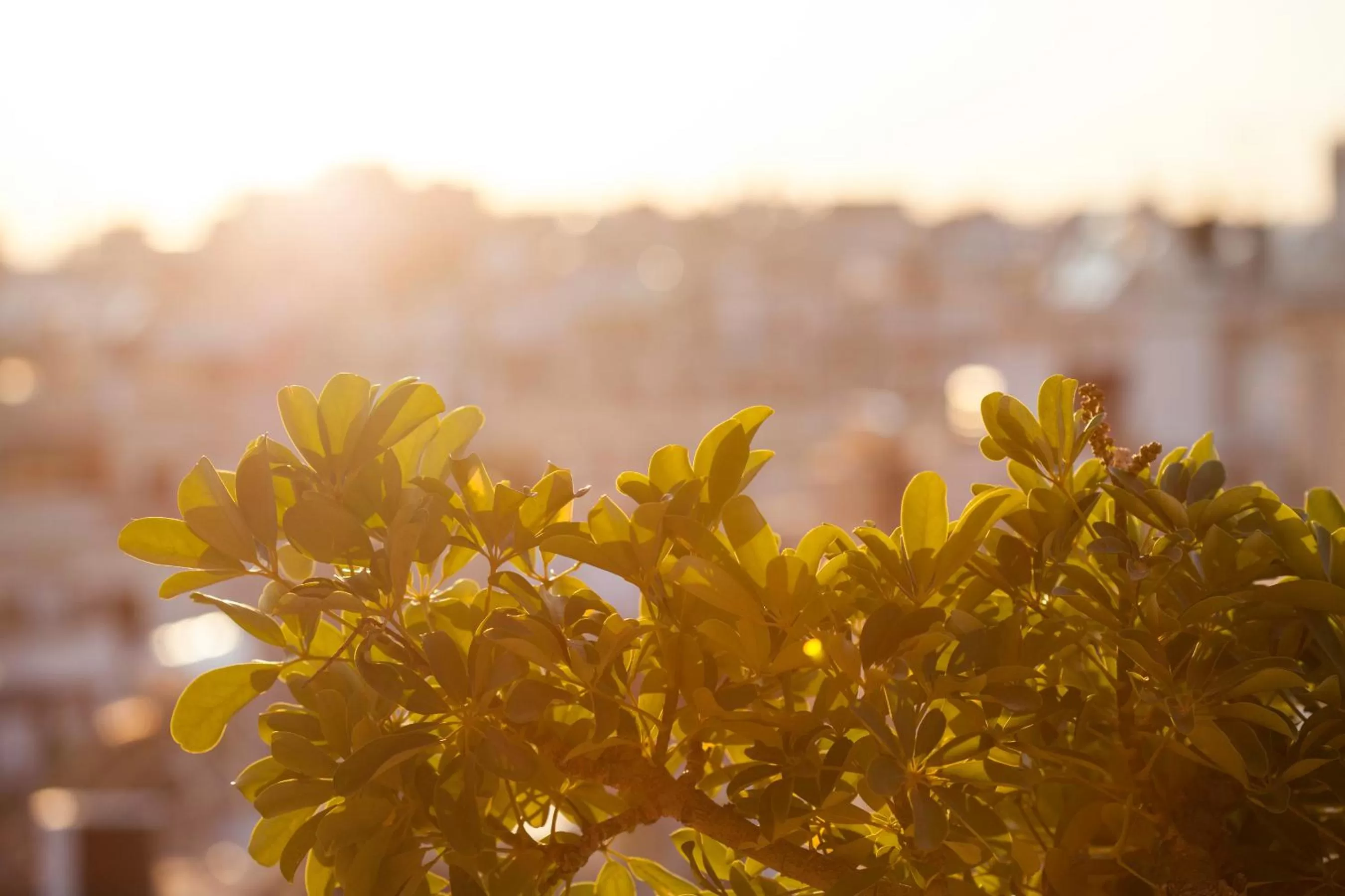 City view in Lilia Hotel
