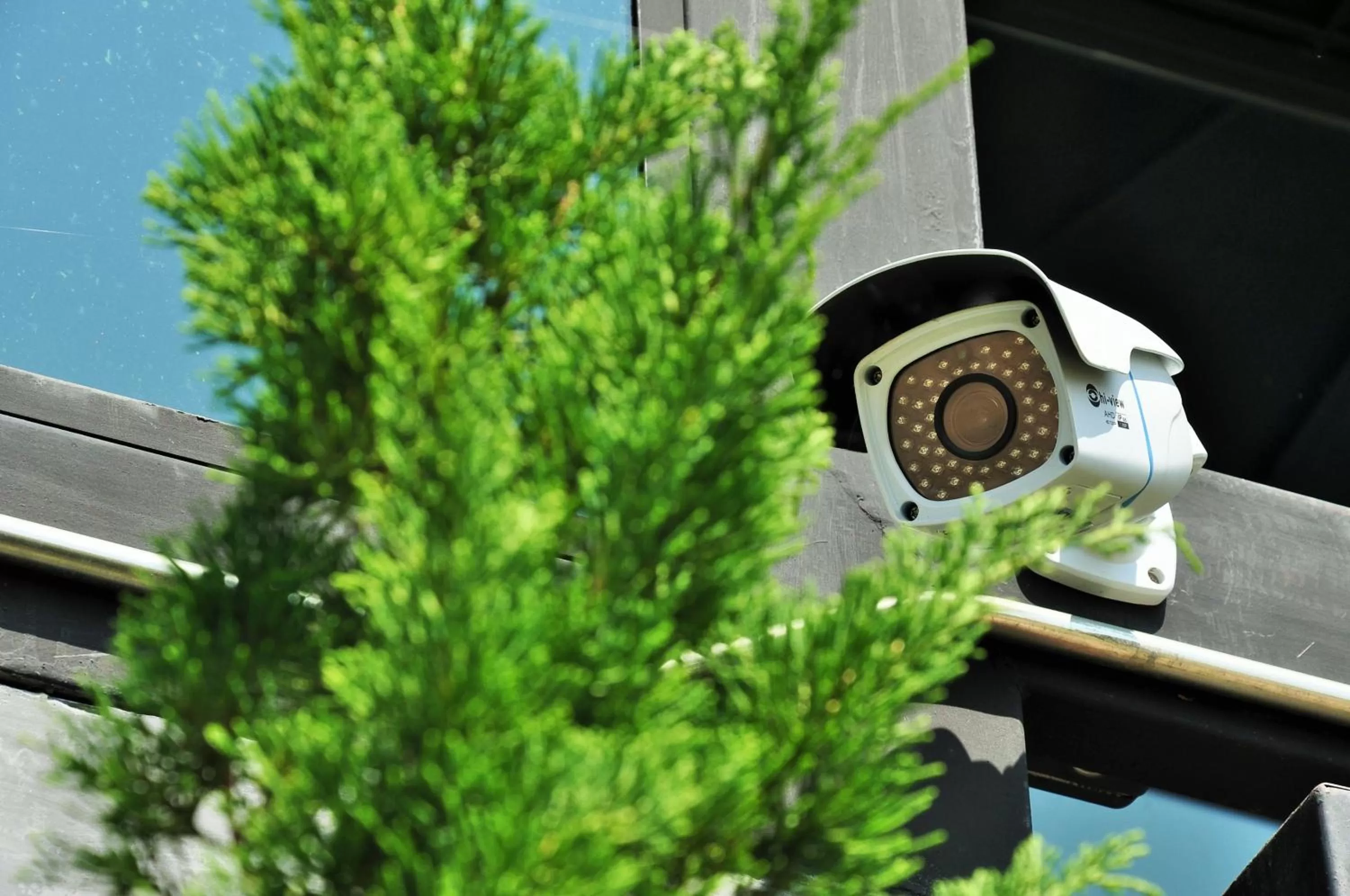 Area and facilities in Family House Zen Boutique Resort