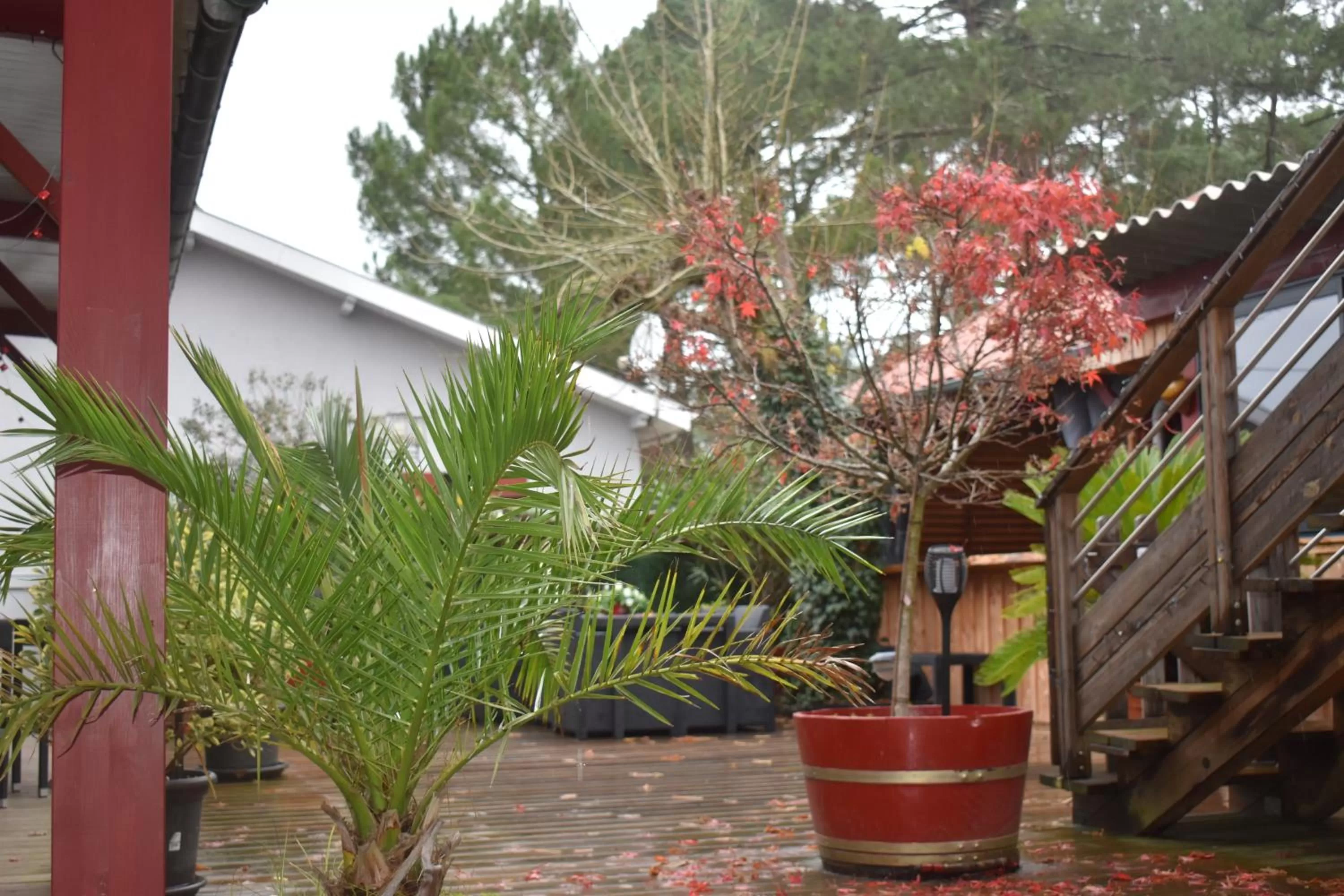 Patio in Chez Augustin