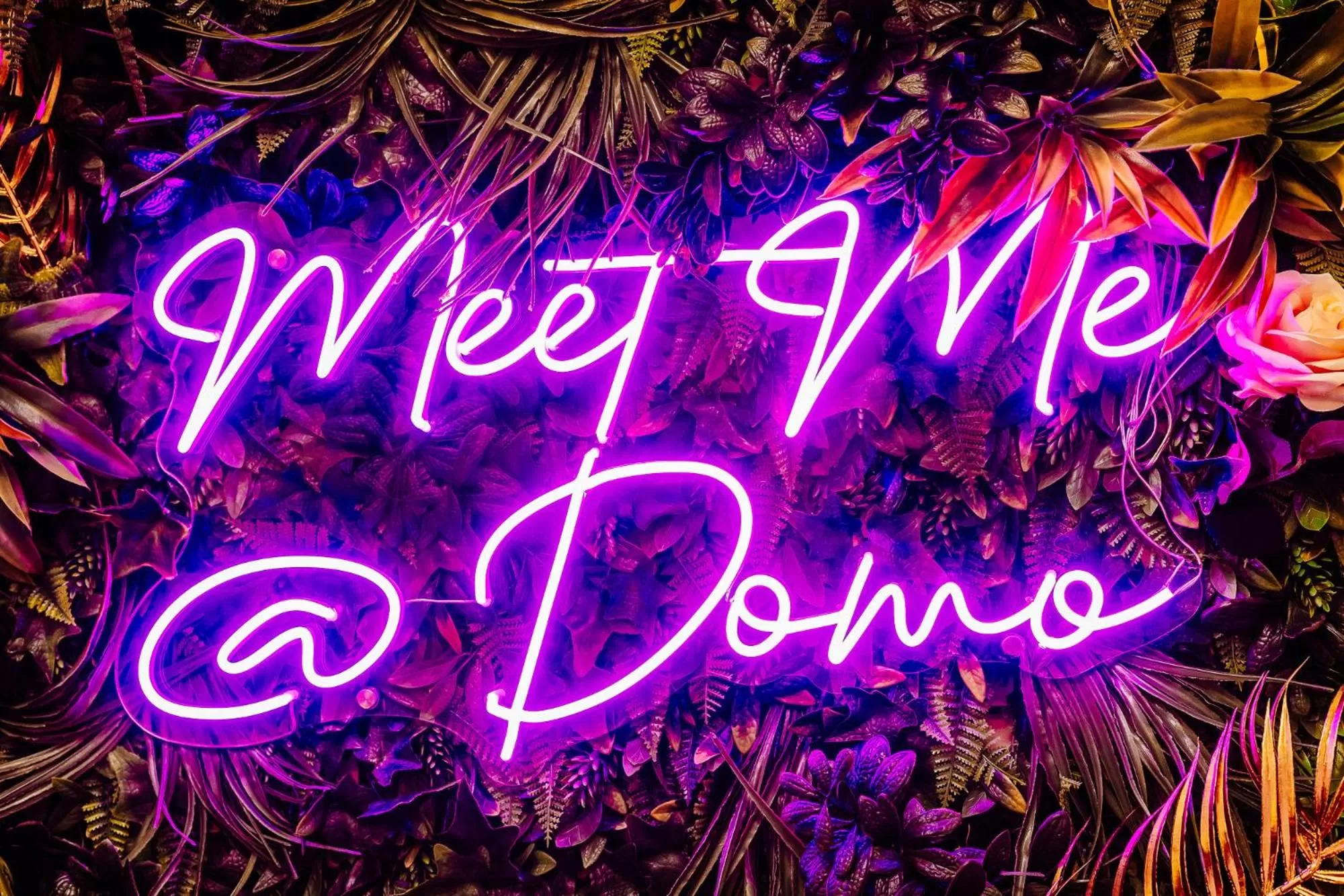 Logo/Certificate/Sign in Domo Boutique Hotel