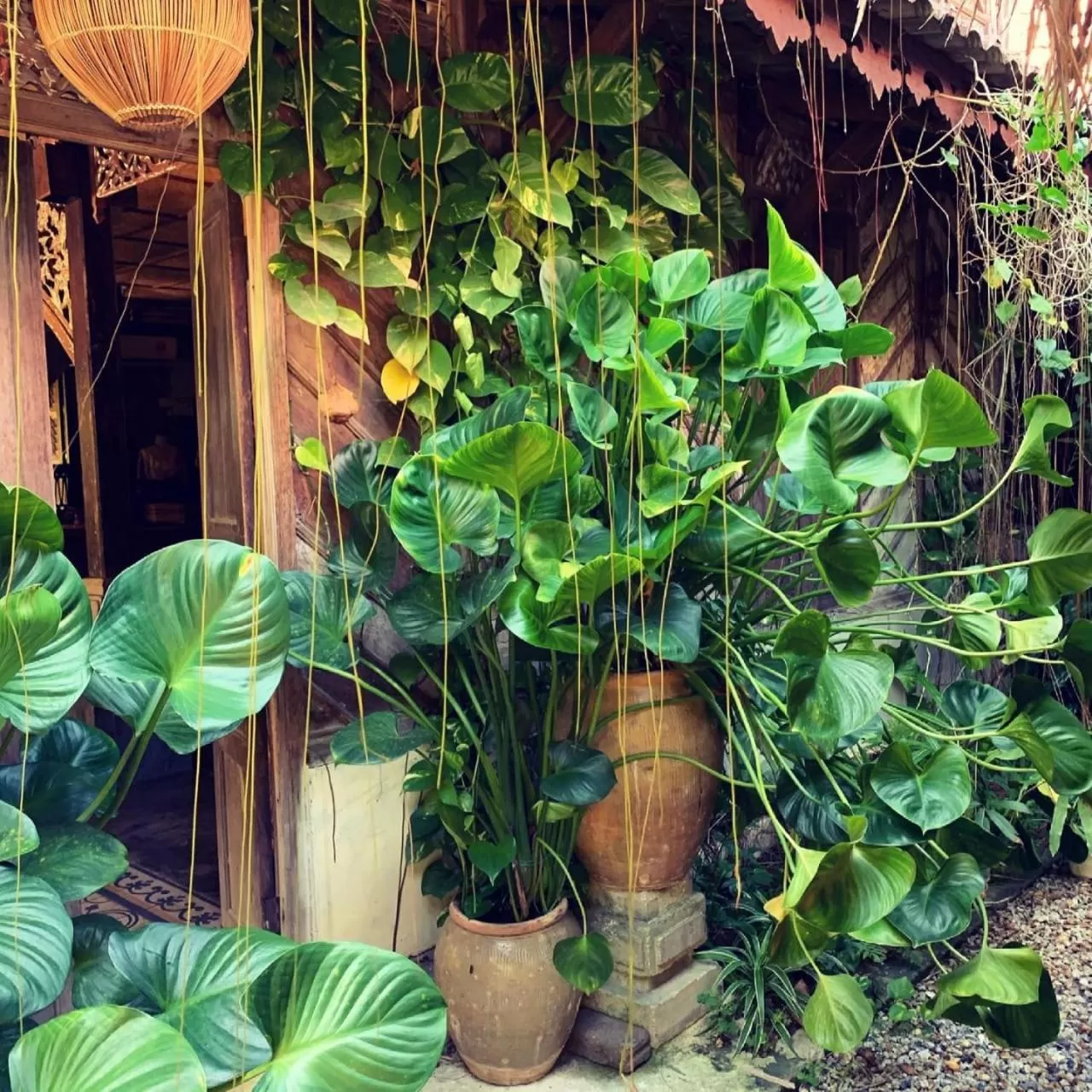 Kunang Kunang Heritage Villas