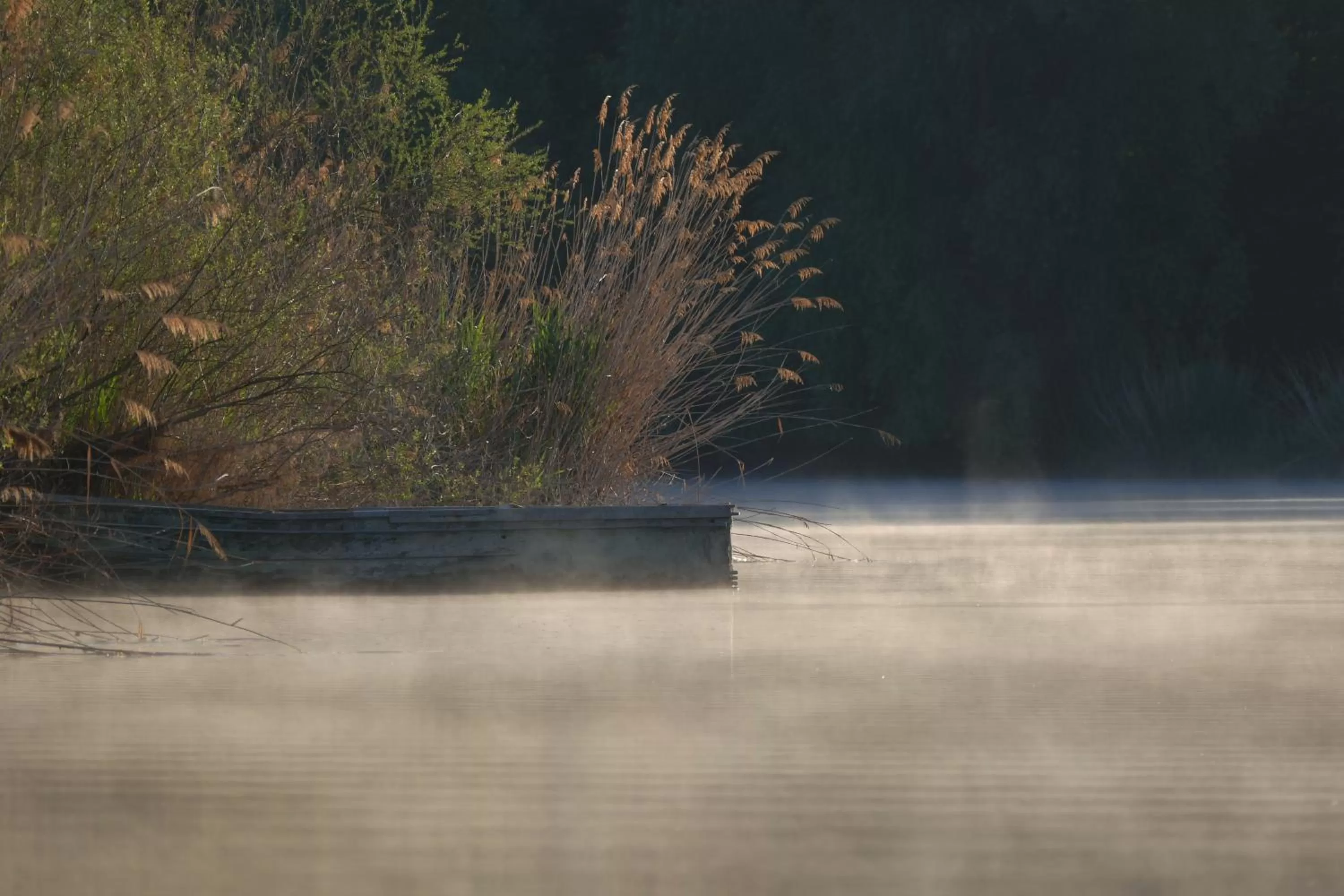 Natural landscape in SeeHotel Ketsch