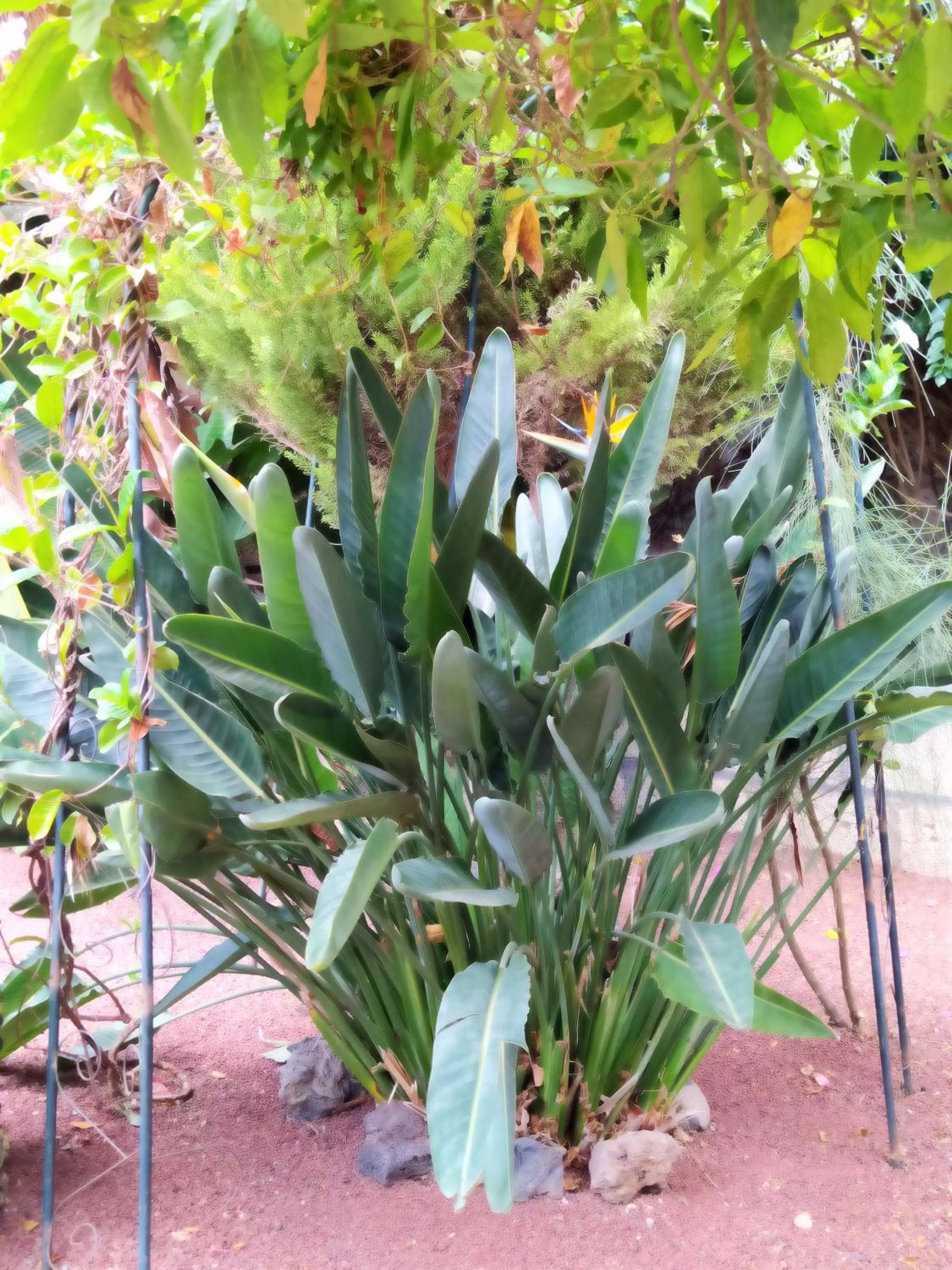 Hotel Rural Senderos de Abona