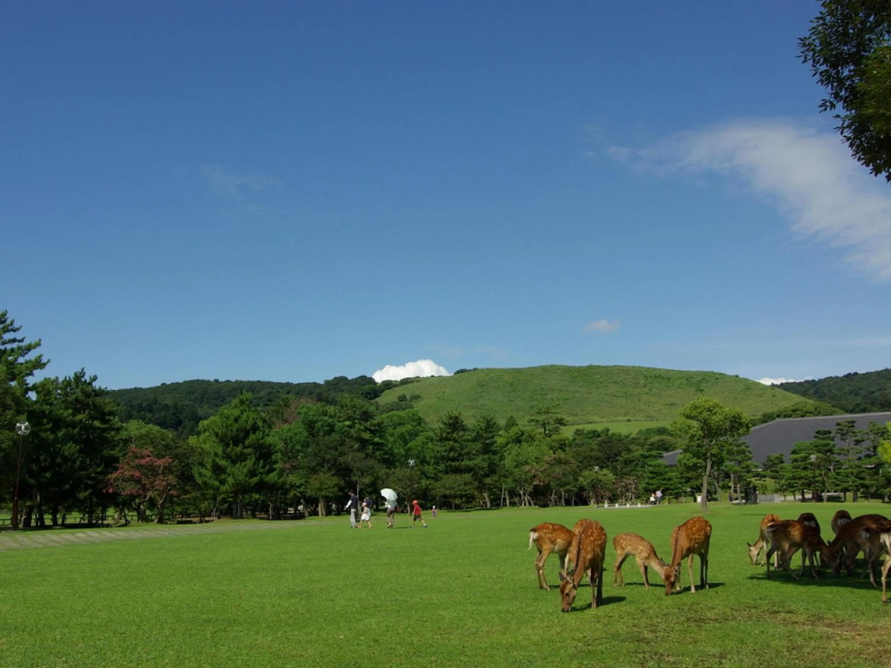 Nearby landmark in KOKO HOTEL Higashiosaka - formerly Hotel Wing International Select Higashi Osaka