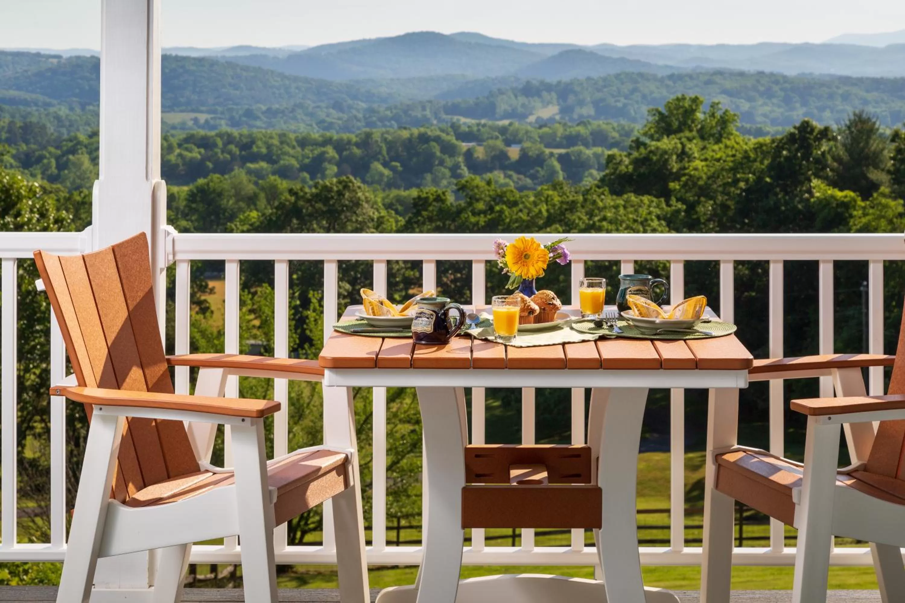 Balcony/Terrace in Brierley Hill Bed & Breakfast