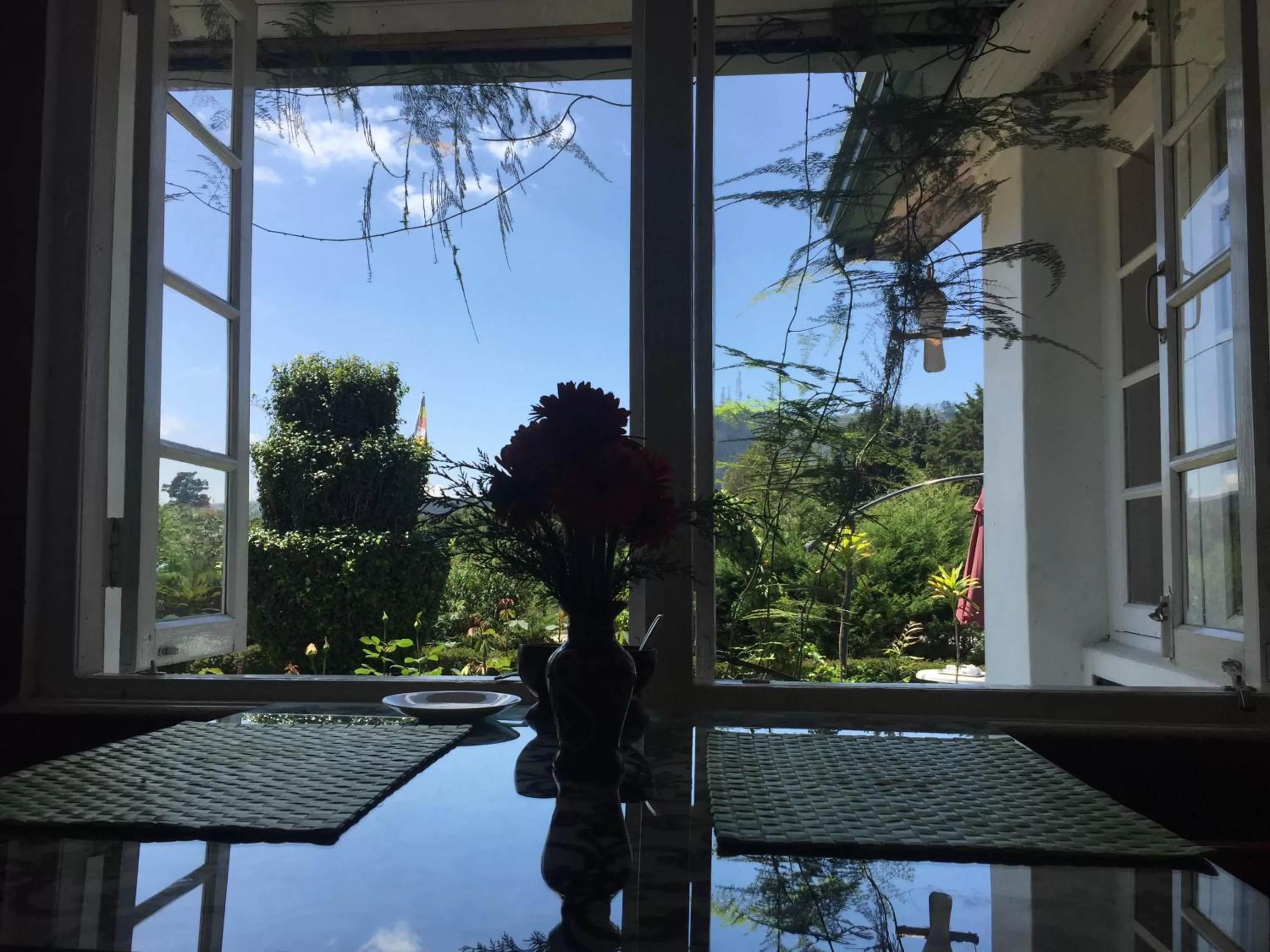 Garden view in The Trevene Hotel