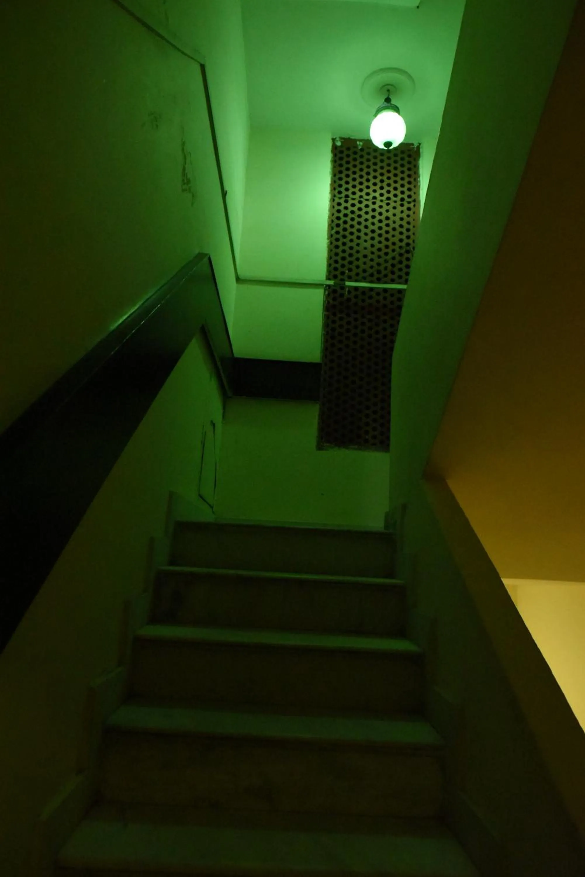 View (from property/room) in Hotel Vaishnavi