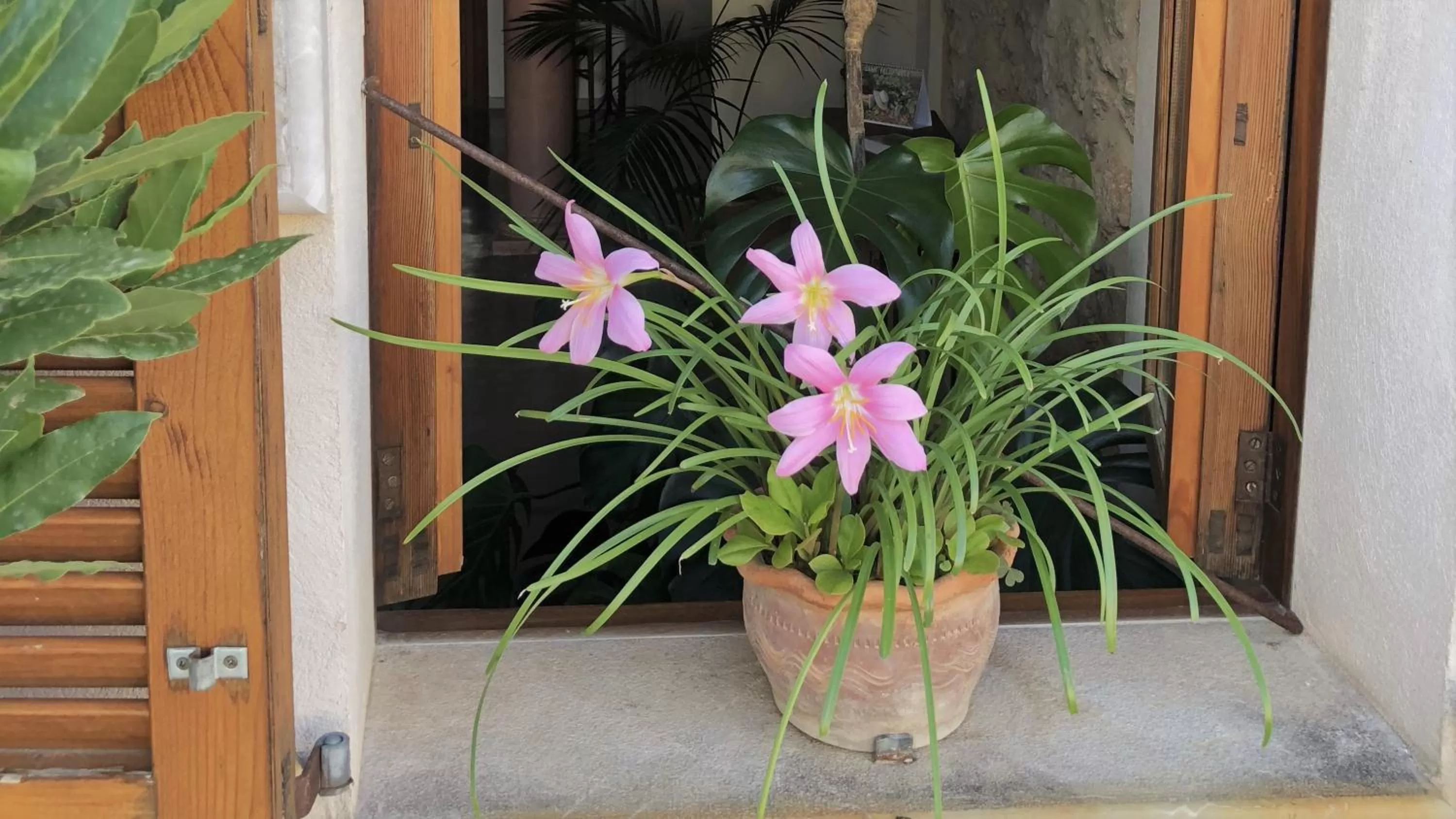 Other in Vista de la Vila - Turismo de interior.