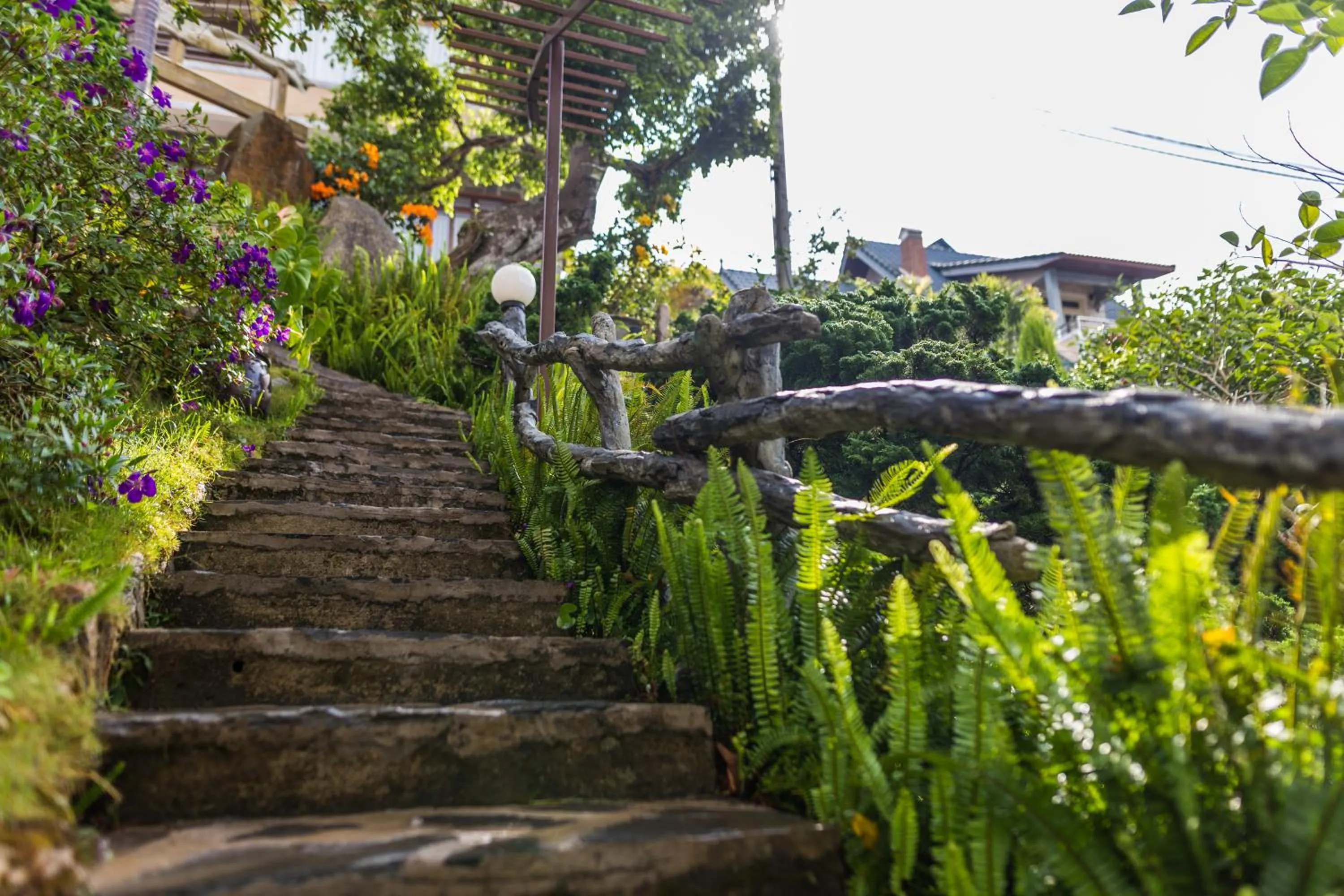 Natural landscape in Zen Valley Dalat