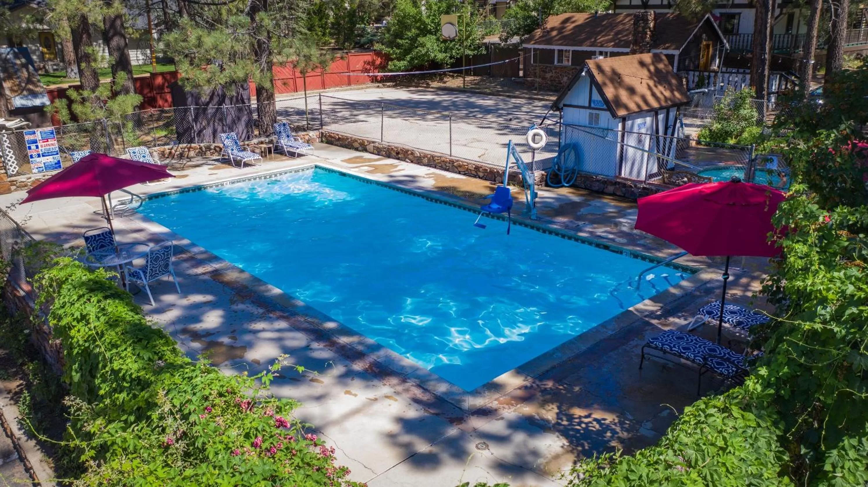 Swimming pool in Black Forest Lodge